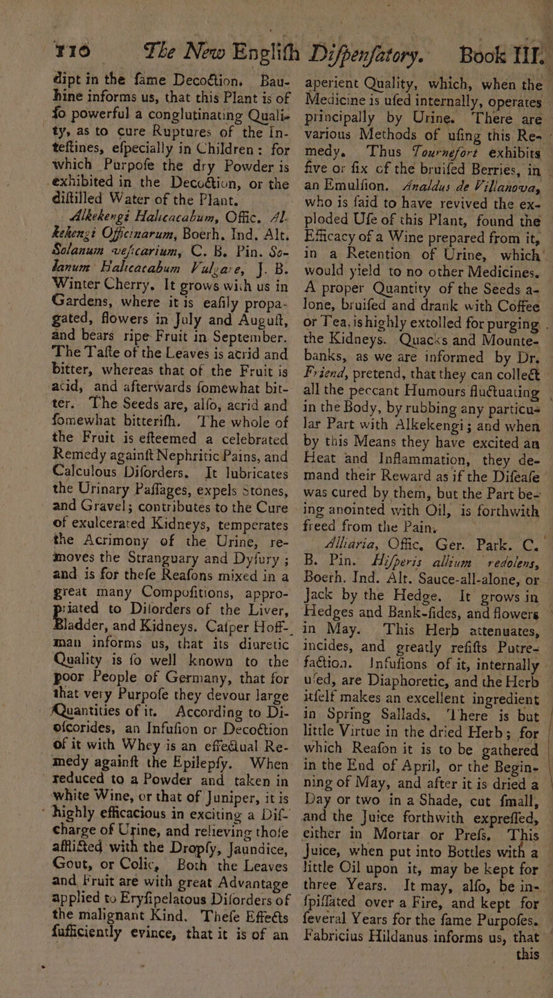 dipt in the fame Decoétion, Bau- hine informs us, that this Plant is of fo powerful a conglutinating Quali ty, as to cure Ruptures of the In- teftines, efpecially in Children: for which Purpofe the dry Powder is exhibited in the Decoétion, or the diftilled Water of the Plant. Alkekengé Halicacabum, Offic. AL Rekenzi Officinarum, Boerh, Ind. Alt. Solanum veficarium, C. B. Pin. So- tanum Halicacabum Vulsarve, J. B. Winter Cherry, It grows wish us in Gardens, where it is eafily propa- gated, flowers in July and Auguft, and bears ripe Fruit in September. The Tafte of the Leaves is atrid and bitter, whereas that of the Fruit is atid, and afterwards fomewhat bit- ter. The Seeds are, alfo, acrid and fomewhat bitterifh. The whole of the Fruit is efteemed a celebrated Remedy againft Nephritic Pains, and Calculous Diforders. It lubricates the Urinary Paffages, expels Stones, and Gravel; contributes to the Cure of exulcerated Kidneys, temperates the Acrimony of the Urine, re- moves the Stranguary and Dyfury ; and is for thefe Reafons mixed in a great many Compofitions, appro- riated to Dilorders of the Liver, man informs us, that its diuretic Quality is fo well known to the poor People of Germany, that for that very Purpofe they devour large AQuantities of it. According to Di- ofcorides, an Infufion or Decoétion of it with Whey is an effe@ual Re- medy againft the Epilepfy. When reduced to a Powder and taken in white Wine, or that of Juniper, it is ‘ highly efficacious in exciting a Dif- charge of Urine, and relieving thofe affi&amp;ted with the Droply, Jaundice, Gout, or Colic, Both the Leaves and Fruit are with great Advantage applied to Eryfipelatous Diforders of the malignant Kind. Thefe Effeéts fufficiently evince, that it is of an Medicine is ufed internally, operates - principally by Urine. There are medy. Thus Tournefort exhibits an Emulfion. Analdus de Villanova, Eficacy of a Wine prepared from it, in a Retention of Urine, which’ would yield to no other Medicines. A proper Quantity of the Seeds a- Jone, bruifed and drank with Coffee or Tea, ishighly extolled for purging . the Kidneys. Quacks and Mounte- banks, as we are informed by Dr, Friend, pretend, that they can collec in the Body, by rubbing any particus lar Part with Alkekengi; and when by this Means they have excited an Heat and Inflammation, they de- mand their Reward as if the Difeafe was cured by them, but the Part be- ing anointed with Oil, is forthwith freed from the Pains | B. Pin. Hi/peris allium redolens, Boerh. Ind. Alt. Sauce-all-alone, or Jack by the Hedge. It grows in in May. This Herb attenuates, incides, and greatly refifts Putre- faction. Infufions of it, internally u‘ed, are Diaphoretic, and the Herb in Spring Sallads, ‘here is but little Virtue in the dried Herb; for | in the End of April, or the Begin- ning of May, and after it is dried a Day or two in a Shade, cut fmall, and the Juice forthwith expreffed, either in Mortar or Prefs. This Juice, when put into Bottles with a little Oil upon it, may be kept for three Years. {piffated over a Fire, and kept for feveral Years for the fame Purpofes. Fabricius Hildanus. informs us, ae this