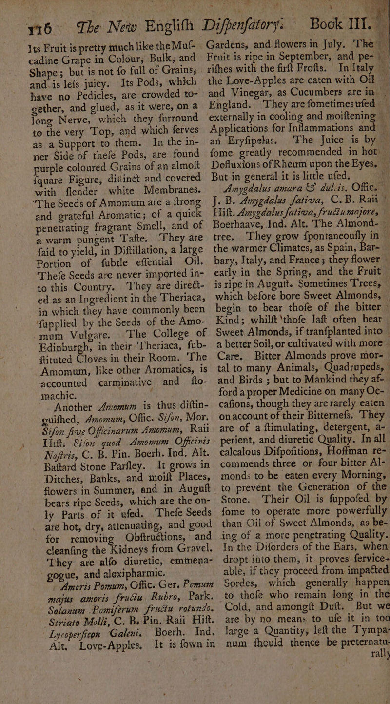 Its Fruit is pretty much like the Mul cadine Grape in Colour, Bulk, and Shape ; and. is lefs juicy. Its Pods, which have no Pedicles, are crowded to- gether, and glued, as it were, on a long Nerve, which they furround to the very Top, and which ferves as a Support to them. In the in- ner Side of thefe Pods, are found purple coloured Grains of an almoft fquare Figure, ditiinct and ‘covered with {lender white Membranes. The Seeds of Amomum are a {trong and grateful Aromatic; of a quick penetrating fragrant Smell, and of a warm pungent Tafte. ‘They are faid to yield, in Diftillation, a large Portion of fubtle effential Ojl. Thefe Seeds are never imported in- to this Country. They are direct- ed as an Ingredient in the Theriaca, in which they have commonly been fapplied by the Seeds of the Amo- mom Vulgare. The College of Edinburgh, in their 'Theriaca, fub- flituted Cloves in their Room. The Amomum, like other Aromatics, is accounted carminative and fio- machic. ; ~~ Another Amomum is thus diftin- guifhed, Amomum, Offic. Si/on, Mor. Sifon five Officinarum Amomum, Raii Noffris, C. B. Pin. Boerh. Ind. Alt. Baftard Stone Parfley. It grows in Ditches, Banks, and moift Places, flowers in Summer, and in Auguft bears ripe Seeds, which are the on- ly Parts. of it ufed. Thefe Seeds are hot, dry, attenuating, and good for removing Obftructions, and cleanfing the Kidneys from Gravel. They are alfo diuretic, emmena- -gogue, and alexipharmic. Anoris Pomum, Offic. Ger. Pomum majus amoris frucis Rubro, Park. Solanum Pomiferum fruciu rotundo. Striato Molli, C. Ba Pin. Raii Hitt.  Lycoperfiegn Galeni. Boerh. Ind. Alt. Love-Apples, It is fown in Gardens, and flowers in July. The rifhes with the firft Frofts. + oa ee England. They are fometimesufed an Eryfipelas. But in general it is little ufed. Hitt. Amygdalus fativa, frudiumajore, the warmer Climates, as Spain, Bar- bary, Italy, and France ; they flower early in the Spring, and the Fruit is ripe in Auguit. Sometimes Trees, Kind; whilft ‘thofe laft often bear Care. Bitter Almonds prove mor- ford a proper Medicine on many Oc- cafions, though they are rarely eaten onaccount of their Bitternefs. They are of a ftimulating, detergent, a- perient, and diuretic Quality. In all calcalous Difpofitions, Hoffman re- commends three or four bitter Al- monds to be eaten every Morning, Stone. Their Oil is fuppofed by fome to operate more powerfully than Oil of Sweet Almonds, as be- In the Diforders of the Ears, when dropt into them, it. proves fervice- able, if they proceed from impacted Sordes, which generally happen to thofe who remain long in the Cold, and amongf Duft. But we are by no means to ufe it in too large a Quantity, left the TYympa: num fhould thence be preternatu- rally