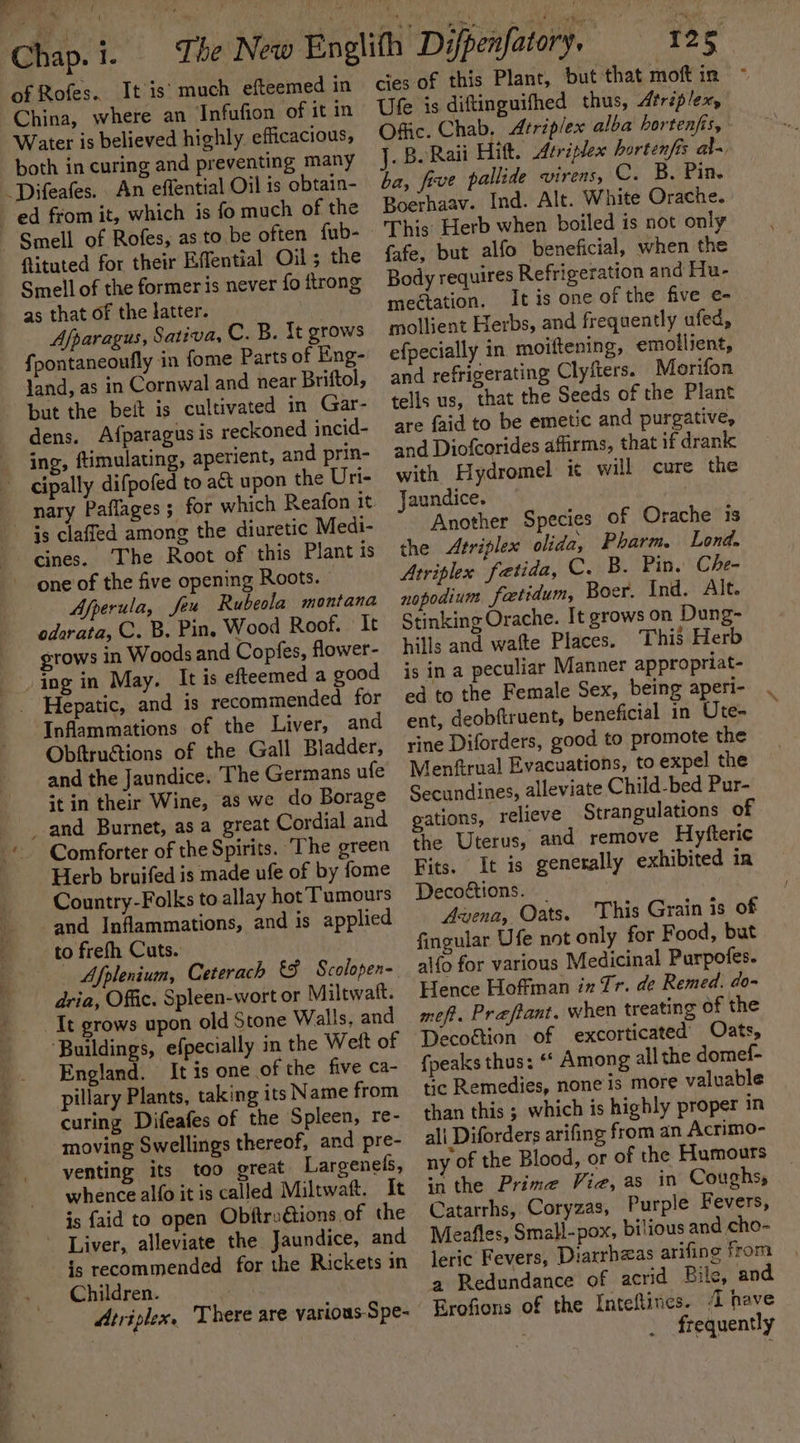 y @ ‘ me: Chap. i. of Rofes. It is’ much efteemed in China, where an Infufion of it in Water is believed highly efficacious, both in curing and preventing many Difeafes. An effential Oil is obtain- Smell of Rofes, as to be often fub- ftituted for their Effential Oil; the Smell of the formeris never fo ftrong as that of the latter. Afparagus, Sativa, C. B. Tt grows fpontaneoufly in fome Parts of Eng- land, as in Cornwal and near Briftol, but the beit is cultivated in Gar- dens. Afparagus is reckoned incid- ing, ftimulating, aperient, and prin- cipally difpofed to act upon the Uri- nary Paflages ; for which Reafon it. js claffed among the diuretic Medi- cines. The Root of this Plant is one of the five opening Roots. Afperula, feu Rubeola montana oderata, C. B. Pin, Wood Roof. It gtows in Woods and Copfes, flower- ing in May. It is efteemed a good Inflammations of the Liver, and Obfiructions of the Gall Bladder, and the Jaundice. The Germans ufe it in their Wine, as we do Borage and Burnet, as a great Cordial and Comforter of the Spirits. The green Herb bruifed is made ufe of by fome Country-Folks to allay hot Tumours and Inflammations, and is applied to frefh Cuts. Afplenium, Ceterach Scolopen- dria, Offic. Spleen-wort or Miltwatt. It grows upon old Stone Walls, and ‘Buildings, efpecially in the Welt of England. It is one of the five ca- pillary Plants, taking its Name from curing Difeafes of the Spleen, re- moving Swellings thereof, and pre- venting its too great Largenels, whence alfo it is called Miltwaft. It is {aid to open Obftrotions of the is recommended for the Rickets in Children. Atriplex, There are various-Spe- 125 cies of this Plant, but that moft in Ufe is diftinguifhed thus, Atréplex, Offic. Chab. Atriplex alba bortenfis, J. Be Raii Hitt. Atriplex hortenfis al~ ba, five pallide virens, C. B. Pin. Boerhaav. Ind. Alt. White Orache. This’ Herb when boiled is not only {afe, but alfo beneficial, when the Body requires Refrigeration and Hu- meétation. It is one of the five e- mollient Herbs, and frequently ufed, efpecially in moittening, emollient, and refrigerating Clyfters. Morifon tells us, that the Seeds of the Plant are {aid to be emetic and purgative, and Diofcorides affirms, that if drank with Hydromel it will cure the Jaundice. Another Species of Orache is the Atriplex olida, Pharm. Lond. Atriplex fatida, C. B. Pin. Che- nopodium faetidum, Boer. Ind. Alt. Stinking Orache. It grows on Dung- hills and wafte Places. This Herb is in a peculiar Manner appropriat- ed to the Female Sex, being aperi- ent, deobftruent, beneficial in Ute- rine Diforders, good to promote the Menfirual Evacuations, to expel the Secundines, alleviate Child-bed Pur- gations, relieve Strangulations of the Uterus, and remove Hyfteric Fits. It is generally exhibited in Decoétions. Avena, Oats. This Grain is of fingular Ufe not only for Food, but alfo for various Medicinal Purpofes. Hence Hoffman ix Tr. de Remed. do- meft. Preftant. when treating of the Decogtion of excorticated Oats, {peaks thus: ‘‘ Among all the domef- tic Remedies, none is more valuable than this ; which is highly proper in ali Diforders arifing from an Acrimo- ny of the Blood, or of the Humours sn the Prime Via, as in Coughs, Catarrhs, Coryzas, Purple Fevers, Meafles, Small-pox, bilious and cho- leric Fevers, Diarrhzas arifing from a Redundance of acrid Bile, and Erofions of the Inteftines. (l have frequently