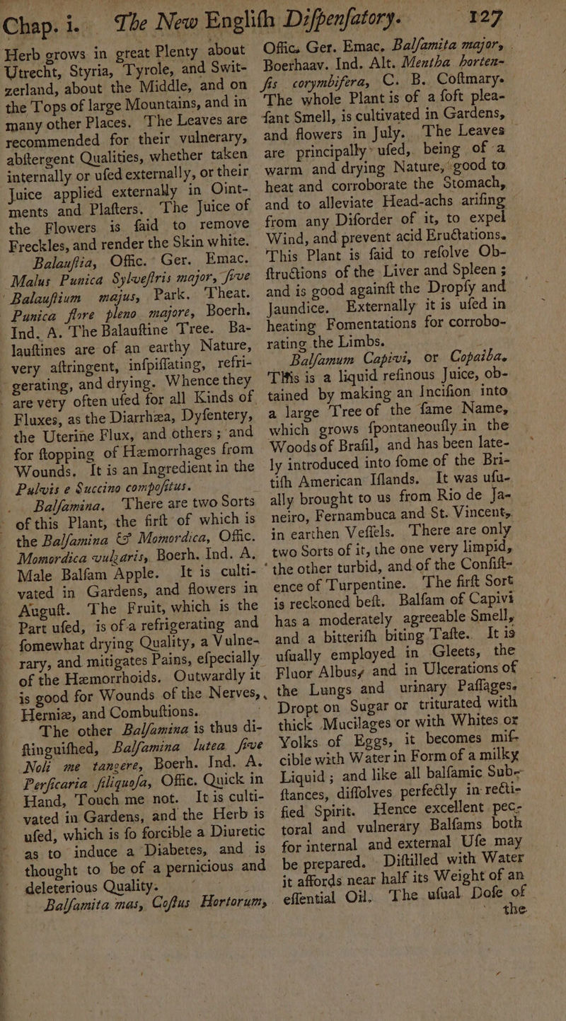 Herb grows in great Plenty about Utrecht, Styria, Tyrole, and Swit- zerland, about the Middle, and on the Tops of large Mountains, and in many other Places. ‘The Leaves are recommended for their vulnerary, abftergent Qualities, whether taken internally or ufed externally, or their Juice applied externally in Oint- ments and Plafters, The Juice of the Flowers is faid to remove Freckles, and render the Skin white. Balaufia, Ofc. Ger. Emac. Malus Punica Sylveftris major, five Balauflium majus, Park. ‘Theat. Boerh. Ind. A. The Balauftine Tree. Ba- lauftines are of an earthy Nature, and drying. Whence they Fluxes, as the Diarrhzea, Dyfentery, the Uterine Flux, and others ; and for ftopping of Hemorrhages from Wounds. It is an Ingredient in the Pulvis e Succino compofitus. : Balfamina, ‘There are two Sorts Momordica vularis, Boerh. Ind. A. Male Balfam Apple. It is culti- vated in Gardens, and flowers in fomewhat drying Quality, a V ulne- of the Hemorrhoids. Outwardly it Herniz, and Combuftions. The other Bal/amixa is thus di- finguithed, Balfamina lutea five Perficaria filiquafa, Offic. Quick in Hand, Touch me not. Itis culti- vated in Gardens, and the Herb is ufed, which is fo forcible a Diuretic thought to be of a pernicious and deleterious Quality. 127 Offics Ger. Emac, Bal/amita major, | Boerhaav. Ind. Alt. Mentha horten- fis corymbifera, C. B. Coftmary- The whole Plant is of a foft plea- fant Smell, is cultivated in Gardens, and flowers in July.. The Leaves are principally” ufed,. being of a warm and drying Nature, good to heat and corroborate the Stomach, and to alleviate Head-achs arifing — from any Diforder of it, to expel Wind, and prevent acid Eructations. This Plant is faid to refolve Ob- ftructions of the Liver and Spleen ; and is good againft the Dropfy and Jaundice. Externally it is ufed in heating Fomentations for corrobo- rating the Limbs. Balfamum Capivi, or Copaiba. Tis is a liquid refinous Juice, ob- tained by making an Incifion into a large ‘Tree of the fame Name, which grows fpontaneoufly in_ the Woods of Brafil, and has been late- ly introduced into fome of the Bri- tifh American Iflands. It was ufu- ally brought to us from Rio de Ja- neiro, Fernambuca and St. Vincenty, in earthen Veffels. There are only two Sorts of it, the one very limpid, ence of Turpentine. The firft Sort is reckoned beft. Balfam of Capivi has a moderately agreeable Smell, and a bitterifh biting Tafte. It is ufually employed in Gleets, the Floor Albusy and in Ulcerationsof the Lungs and urinary Paflages. . Dropt on Sugar or triturated with thick Mucilages or with Whites or Yolks of Eggs, it becomes mif- cible with Water in Form of a milky Liquid ; and like all balfamic Sub- ftances, diffolves perfeétly in recti- Hence excellent pec- toral and vulnerary Balfams both for internal and external Ufe may be prepared. Diftilled with Water it affords near half its Weight of an eflential Oil. The ufual Dofe of ' the