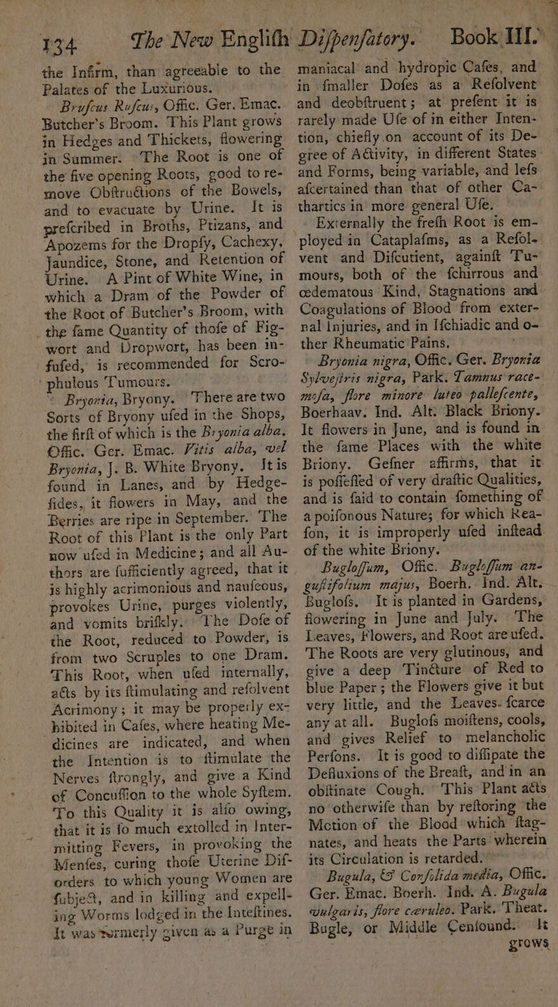 134 the Infrm, than agreeable to the Palates of the Luxurious. Brufcus Rufcu:, Offic. Ger. Emac. Butcher's Broom. This Plant grows in Hedges and Thickets, flowering in Summer. “The Root is one of the five opening Roots, good to re- move Obfru€tions of the Bowels, and to evacuate by Urine. It is Apozems for the Dropfy, Cachexy, Jaundice, Stone, and Retention of Urine. A Pint of White Wine, in which a Dram of the Powder of the Root of Butcher’s Broom, with _ the fame Quantity of thofe of Fig- wort and Dropwort, has been im- _fufed, is recommended for Scro- phulous ‘Tumours. ~ Bryonia, Bryony. ‘There are two Sorts of Bryony ufed in the Shops, the firft of which is the Bs yonia alba, Offic. Ger. Emac. Vitis alba, vel Bryonia, J. B. White Bryony. It is found in Lanes, and by Hedge- fides, it flowers in May, and the Berries are ripe in September.’ ‘The Root of this Plant is the only Part now ufed in Medicine; and all Au- thors are fufficiently agreed, that it is highly acrimonious and naufcous, provokes Urine, purges violently, and vomits brifkly.. The Dofe of the Root, reduced to Powder, is from two Scruples to one Dram. This Root, when ufed internally, acts by its ftimulating and refolvent Acrimony ; it may be properly ex- hibited in Cafes, where heating Me- dicines are indicated, and when the Intention is to ftimulate the Nerves ftrongly, and give a Kind of Concuffion to the whole Syftem. To. this Quality it is alfo owing, that it is fo much extolled in Inter- mitting Fevers, in provoking the Wenfes, curing thofe Uierine Dif- orders to which young Women are fabje&amp;, and in killing and expell- ing Worms lodged in the Inteltines. It was termerly given as a Purge in maniacal’ and hydropie Cafes, and in f{maller Dofes as a Refolvent and deobftruent; at prefent it is rarely made Ufe of in either Inten- tion, chiefly.on account of its De- gree of Activity, in different States. and Forms, being variable, and lefs afcertained than that of other Ca- thartics in more general Ule. Externally the frefh Root is em- vent and Difcutient, againft Tu- mours, both of the fchirrous and cedematous Kind, Stagnations and Coagulations of Blood from exter- nal Injuries, and in [{chiadic and o- ther Rheumatic’ Pains. , Bryonia nigra, Offic. Ger. Bryonia Sylvejris nigra, Park. Tamnus race- mofa, flore minore Luteo pallefcente, Boerhaav. Ind. Alt: Black Briony. It flowers in June, and is found in the fame Places with the white Briony. Gefner affirms, that it is pofiefled of very draftic Qualities, and is faid to contain fomething of a poifonous Natures for which Rea- fon, it is improperly ufed inftead of the white Briony. Bugloffum, Offic. Bugliffum an- gupifolium majus, Boerh. Ind. Alt. Buglofs, It is planted in Gardens, Leaves, Flowers, and Root are ufed. The Roots are very glutinous, and blue Paper ; the Flowers give it but very little, and the Leaves. {carce any at all. Buglofs moiftens, cools, and gives Relief to melancholic Perfons. It is good to diffipate the Defluxions of the Breaft, andin an obitinate Cough. © This Plant atts no otherwife than by reftoring the Motion of the Blood which itag- nates, and heats the Parts wherein its Circulation is retarded.” | Bugula, S Confolida media, Offic. Ger. Emac. Boerh. Ind. A. Bugula wulgaris, fore ceruleo. Park. Theat. Bugle, or Middle Ceniound. kk f grows