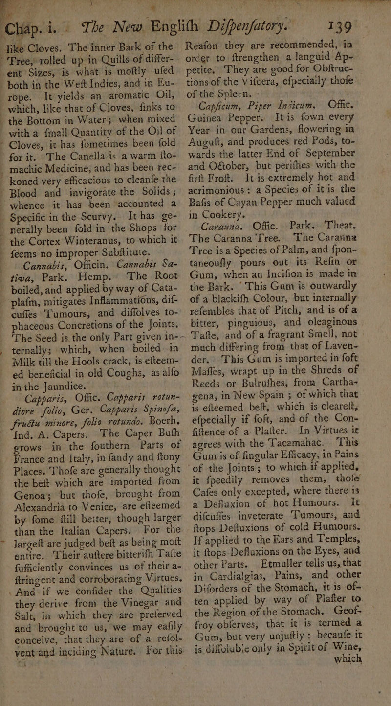 a : Fike’ Cloves. The inner Bark of the uills of differ- rope. It yields an aromatic Oil, which, like that of Cloves, finks to the Bottom in Water; when mixed for it. The Canella is a warm ito- Specific in the Scurvy. Ithas ge- the Cortex Winteranus, to which it feems no improper Subftitute. Cannabis, Officin. Cannabis Sa- tiva, Park. Hemp. The Root boiled, and applied by way of Cata- plafm, mitigates Inflammations, dif- cufles Tumours, and diffolves to- —_ ternally; which, when boiled in Milk till the Hools crack, is efteem- ed beneficial in old Coughs, as alfo in the Jaundice. Capparis, Offe. Capparis rotun- diore folio, Ger. Capparis Spinofa, frudu minore, folio rotunds. Boerh, “Ind. A. Capers. The Caper Buth grows in the fouthern Parts of France and Italy, in fandy and ftony Places. Thofe are generally thought the beit which are imported from Genoa; but thofe, brought. from Alexandria to Venice, are elleemed by fome ftill better, though larger than the Italian Capers. For the largeft are judged beft as being moft entire. Their auttere bitterifh Tale fufficiently convinces us of their a- ftringent and corroborating Virtues. . And if we confider the Qualities they derive from the Vinegar and Salt, in which they’ are prelerved and brought to us, we may eafily conceive, that they are of a refol- vent and inciding Nature. For this. Reafon they are recommended, in order to ftrengthen a languid Ap- petite. They are good for Obftruc- tions of the Vifcera, efpecially thofe of the Splecn. | Capficum, Piper Indicum, Offic. Guinea Pepper. Itis fown every Year in our Gardens, flowering in Auguit, and produces red Pods, to- wards the latter End of September and Oégtober, but perifhes with the firft Froft. It is extremely hot and acrimonious: a Species of it is the Bafis of Cayan Pepper much valued in Cookery. . Caranna. Offic. Park. Theat. The Caranna Tree. The Caranna Tree isa Species of Palm, and {pon- taneoufly pours out its Refin or Gum, when an Incifion is made in the Bark. ‘ This Gum is outwardly of a blackifh Colour, but internally refembles that of Pitch, and is of a bitter, pinguious, and oleaginous Tafte, and of a fragrant Smell, not | much differing from that of Laven- der. This Gum is imported in foft: Mafles, wrapt up in the Shreds of Reeds or Bulrufhes, from Cartha- sena, in New Spain ; of which that is efteemed beft, which is clearelt, efpecially if foft, and of the Con- fiftence of a Plafter.. In Virtues it Gum is of fingular Efficacy, in Pains of the Joints; to which if applied, it fpeedily removes them, thole Cafes only excepted, where there is a Defluxion of hot Humours. It difcufles inveterate Tumours, and flops Defuxions of cold Humours. If applied to the Ears and Temples, it ftops. Defluxions on the Eyes, and other Parts. Etmuller tells us, that in Cardialgias, Pains, and other Diforders of the Stomach, it 1s of- ten applied by way of Piafter to. the Region of the Stomach. Geof- froy oblerves, that it is termed a Gum, but very unjutiy: becanfe it is difulubie only in Spirit of Wine, which