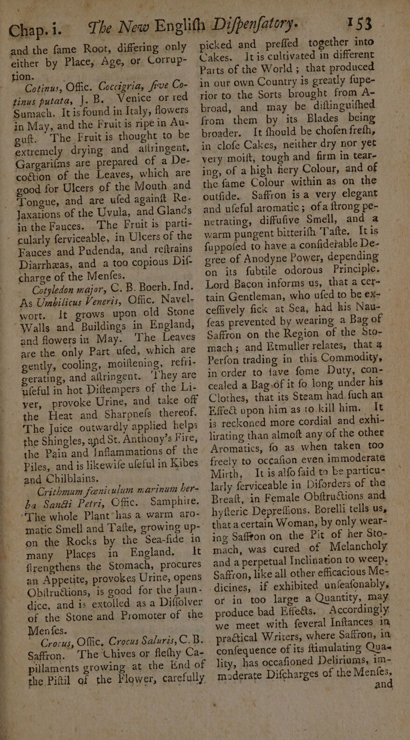 Chap.1.- and the fame Root, differing only either by Place, Age, or Corrup- tion. Cotinus, Offic. Coccégria, frve Co- tinus putata, J. B. Venice or red Sumach. It is found in Italy, flowers in May, and the Fruit is mpe in Au- gut. The Fruit is thought to be extremely drying and allringent. Gargarifms are prepared of a De- coétion of the Leaves, which are good for Ulcers of the Mouth and Jaxations of the Uvula, and Glanes in the Fauces. The Fruit is parti- Fauces and Pudenda, and reftrains Diarrhzeas, and a too copious Dil- charge of the Menfes. Cotyledon major, C. B. Boerh. Ind. As Umbilicus Veneris, Offic. Navel- wort. It grows upon old Stone Walls and Buildings in England, and flowers in May. The Leaves are the. only Part ufed, which are gently, cooling, moiftening, refri- gerating, and alltringent. Vhey are ufeful in hot Diftempers of the Li- yer, provoke Urine, and take off the Heat and Sharpnels thereof. The Juice outwardly applied helps the Shingles, and St. Anthony’s Fire, the Pain and Inflammations of the Piles, and is likewife ufeful in Kibes and Chilblains. Crithmum feeniculum marinum her- ba Sandi Petri, Offic. Samphire. on the Rocks by the Sea-fide in : Places in England. It firengthens the Stomach, procures an Appetite, provokes Urine, opens Obitructions, is good for the Jaun- dice, and 1s extolled as a Difiolver of the Stone and Promoter of the Menfes. Crocus, Offic, Crocus Saluris,C. B. Saffron. ‘The ‘Chives or flefhy Ca- pillaments growing at the End of the Piftil of the Flower, carefully 153 . picked and_prefled together into Cakes. Itis cultivated in different Parts of the World ; that produced in our own Country is greatly fupe- rior to the Sorts brought from A- broad, and may be diftinguifhed from them by its Blades being broader. It fhould be chofen frefh, in clofe Cakes, neither dry nor yet very moift, tough and firm in tear- ing, of a high hery Colour, and of the fame Colour within as on the outfide. Saffron isa very elegant and ufeful aromatic; ofa ftrong pe- netrating, diffufive Smell, and a warm pungent bitterifh Tafte. It is fuppofed to have a confiderable De- gree of Anodyne Power, depending on its fabtile odorous Principle. Lord Bacon informs us, that a cer- tain Gentleman, who ufed to be ex- © ceflively fick at Sea, had his Nau- feas prevented by wearing a Bag of Saffron on the Region of the Sto- mach; and Etmuller relates, that a Perfon trading in this Commodity, — in order to fave fome Duty, con- cealed a Bag.of it fo long under his Clothes, that its Steam had. fuch an Effect upon him as to. kill him. It is reckoned more cordial and exhi- lirating than almoft any of the other Aromatics, fo as when taken too freely to occafion even immoderate Mirth, It is alfo faid to be particu- larly ferviceable in Diforders of the Breaft, in Female Obftructions and hyfteric Depreflions. Borelli tells us, that a certain Woman, by only wear-. ing Saffon on the Pit of her Sto- mach, was cured of Melancholy and a perpetual Inclination to weep. Saffron, like all other efficacious Me- or in too large a Quantity, may produce bad Effects. Accordingly. we meet with feveral Inflances in practical Writers, where Saffron,’ in confequence of its ftimulating Qua lity, has occafioned Deliriums, 1m- maderate Difcharges of the wer an \