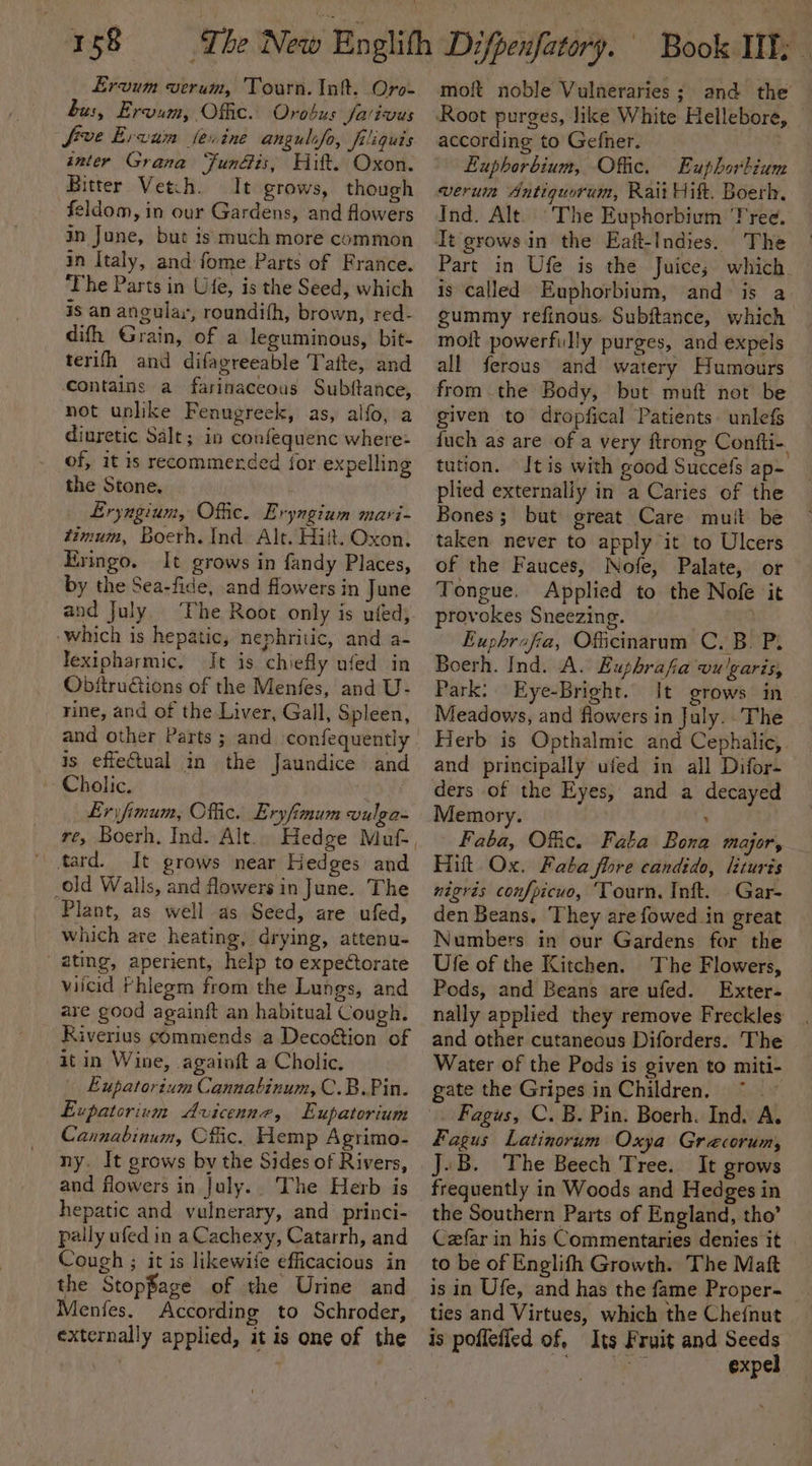 Ervum verum, Tourn. Inf. Oro- bus, Ervum, Offic. Orobus falivus frve Ervin sevine angulifo, filiquis inter Grana ‘FunGis, Hitt. Oxon. “Biter Vet:h. It grows, though feldom, in our Gardens, and flowers in Jone, but is much more common in Italy, and fome Parts of France. ‘The Parts in Ufe, is the Seed, which is an angular, roundifh, brown, red- difh Grain, of a leguminous, bit- terifh and difagreeable Tatte, and contains a farinaceous Subftance, not unlike Fenugreek, as, alfo, a diuretic Salt; in confequenc where of, it is recommended jor expelling the Stone. Eryngium, Offic. Eryngium mari- timum, Boerh. Ind Alt. Hitt. Oxon. Eringo. It grows in fandy Places, by the Sea-fide, and flowers in June and July. ‘The Root only is ufed, ‘which is hepatic, nephritic, and a- Jexipharmic. Jt is chiefly ufed in ObftruGtions of the Menfes, and U- rine, and of the Liver, Gall, Spleen, and other Parts ; and confequently is effectual in the Jaundice and Cholic. Er yfimum, Offic. Eryfimum vulga- re, Boerh, Ind. Alt. It grows near Hedges and old Walls, and flowers in June. The Plant, as well as Seed, are ufed, which are heating, drying, attenu- ating, aperient, help to expectorate viicid Fhlegm from the Lungs, and are good againft an habitual Cough. Riverius commends a Decoétion of it in Wine, againft a Cholic. Eupatorium Cannabinum, C.B.Pin. Eupatcrivm Avicenne, Eupatorium Cannabinum, Ofc. Hemp Agrimo- ny. It grows by the Sides of Rivers, and flowers in July.. The Herb is hepatic and vulnerary, and princi- pally ufed in a Cachexy, Catarrh, and Cough ; it is likewife efficacious in the Stopfage of the Urine and Menfes. According to Schroder, externally applied, it is one of the moft noble Vulneraries; and the according to Gefner. Euphorbium, Offic. Euphorbium verum Antiquorum, Ratt Hitt. Boerk, Ind. Alt. The Euphorbium Tree. It grows in the Eaft-Indies. The Part in Ufe is the Juice; which. is called Euphorbium, and - is a gummy refinous. Subftance, which moit powerfully purges, and expels all ferous and watery Humours from the Body, but muft not be given to dropfical Patients. unlefs {uch as are of a very ftrong Confli-, tution. It is with good Succefs ap- plied externally in a Caries of the Bones; but great Care muit be taken never to apply it to Ulcers of the Fauces, Nofe, Palate, or Tongue. Applied to the Nofe it provokes Sneezing. Euphrafia, Oficinarum C. B. Py Boerh. Ind. A. Euphrafa vulgaris, Park: Eye-Bright. It grows in Meadows, and flowers in July. The Herb is Opthalmic and Cephalic,. and principally ufed in all Difor- ders of the Eyes, and a decayed Memory. : Faba, Offic. Faba Bona major, Hit. Ox. Faba flore candido, liturts nigrés confpicuo, ‘Tourn. Inft. .Gar- den Beans, They are fowed in great Numbers in our Gardens for the Ule of the Kitchen. The Flowers, Pods, and Beans are ufed. Exter- nally applied they remove Freckles and other cutaneous Diforders. The Water of the Pods is given to miti- gate the Gripes in Children, Fagus Latinorum Oxya Grecorum, J.B. The Beech Tree. It grows frequently in Woods and Hedges in the Southern Parts of England, tho’ Czfar in his Commentaries denies it to be of Englifh Growth. The Maft is in Ufe, and has the fame Proper-~ ties and Virtues, which the Chefnut is pofleffed of, Its Fruit and Seeds ay Bt expel