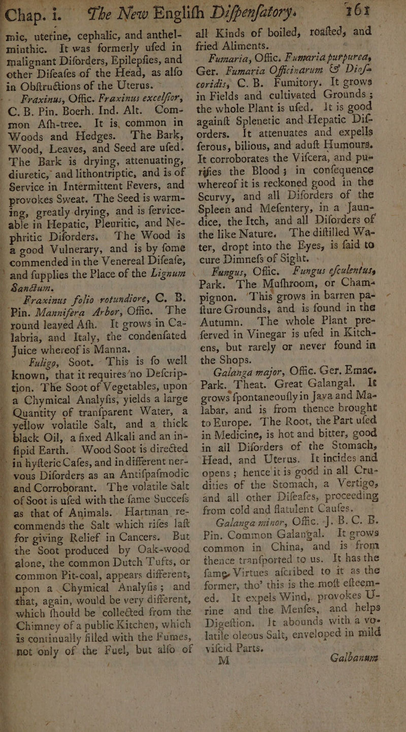 It was formerly ufed in other Difeafes of the Head, as alfo Com- It is, common in The Bark, mon Afh-tree. provokes Sweat. The Seed is warm- able in Hepatic, Pleuritic, and Ne- phritic Diforders, The Wood is a good Vulnerary, and is by fome commended in the Venereal Difeafe, and fupplies the Place of the Lignum San@um. ‘Fraxinus folio rotundiore, C. B. ‘Pin. Mannifera Arbor, Offic. The round leayed Afh. It grows in Ca- labria, and Italy, the condenfated Juice whereof is Manna. Fuligo, Soot. © This is fo well known, that it requires‘no Defcrip- tion. The Soot of Vegetables, upon a Chymical Analyfis, yields a large Quantity of tranfparent Water, a yellow volatile Salt, and a thick But / 761 all Kinds of boiled, roafted; and | fried Aliments. mt, Bi Fumaria, Offic. Fumaria purpurea, Ger. Fumaria Offcinarum ‘ Dio/= coridis; C.B. Fumitory. It grows in Fields and cultivated Grounds ; the whole Plant is ufed. It is good againft Splenetic andHepatic Dif orders. It attenuates and expells ferous, bilious, and adoft Humours. It corroborates the Vifcera, and pu+ rifies the Blood; in confequence whereof it is reckoned good in the Scurvy, and all Diforders of the Spleen and Mefentery, in a Jaun- dice, the Itch, and all Dilorders of the like Nature. The diftilled Wa- ter, dropt into the Byes, is faid to cure Dimnefs of Sight. ; | Fungus, Offic. Fungus efculentusy Park. The Mufhroom, or Cham« pignon. ‘This grows in barren pa- fture Grounds, and is found in the Autumn. The whole Plant pre- ens, but rarely or never found in the Shops. . | Galanga major, Offic. Ger. Emae. Park. Theat. Great Galangal. It &amp; 3 . gtows {pontaneoully in Java and Ma- labar, and is from thence brought toEurope. The Root, the Part ufed in Medicine, is hot and bitter, good in all Diforders of the Stomach, Head, and Uterus. It incides and opens ; hence it is good in all Cra- dities of the Stomach, a Vertigo, and all other Difeafes, proceeding from cold and flatulent Caufes. Galanga minor, Offic. J. B.C. B. Pin. Common Galangal. It grows commen in China, and is’ from thence tran{ported to us. It has the fame, Virtues afcribed to it as the former, tho’ this is the moft efteem- ed. It expels Wind,. provokes U- rine and the Menfes, and helps Digeftion. It abounds with a VO-_ latile oleous Salt, enveloped in mild vifcid Parts. . M Galbanune