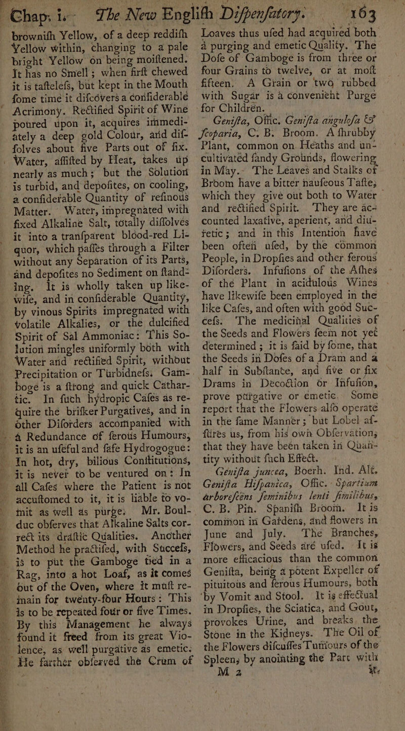 brownifh Yellow, of a deep reddith Yellow within, changing to a pale bright Yellow on being moiftened. It has no Smell ; when firft chewed it is taftelefs, but kept in the Mouth fome time it difcdvers a confiderable Acrimony. Rectified Spirit of Wine poured upon it, acquires immedi- ately a deep gold Colour, arid dif- folves about five Parts ont of fix. Water, aflifted by Heat, takes up nearly as much; but the Solutiori is turbid, and depofites, on cooling, a confiderable Quantity of refinous - Matter. Water, impregnated with fixed Alkaline Salt, totally diffolves it into a tranfparent blood-red Li- quor, which paffés through a Filter without any Separation of its Parts, dnd depofites no Sediment on ftand- ing. It is wholly taken up like- wife, and in confiderable Quantity, by vinous Spirits impregnated with volatile Alkalies, or the dulcified Spirit of Sal Ammoniac: This So- lution mingles uniformily both with Water arid reétified Spirit, withdut boge is a {trong and quick Cathar- tic. In fuch hydropic Cafes as re- quire the brifker Purgatives, and in Other Diforders accompanied with _ &amp; Redundance of ferotis Humours, ( it is an ufefuland fafe Hydrogogue: ~ In hot, dry, bilious Conttitutions, itis never to be ventured on: In - all Cafes where the Patient is not accuftomed to it, it is liable to vo- - mit as well as purge: Mr. Boul- duc obferves that Alkaline Salts cor- rect its draftic Qualities. Another _ Method he practifed, with Succefs, is to put the Gamboge tied in a _ Rag, into a hot Loaf, as it comes out of the Oven, where it muft re- _ inain for twenty-four Hours: This _ is to be repeated four or five Times. _ By this Management he always tit found it freed from its great Vio- lence, as well purgative as emetic. He farther obfexved the Crum of is Wi ti a ¥ Mh \ , 4 \ Loaves thus ufed had acquired both. a purging and emetic Quality. The Dofe of Gamboge is from three or four Grains to twelve, or at mot A Grain or twG’ rubbed with Sugar is a convenient Purge for Children... ny } Genifta, Offic. Genifta anguhfa Scoparia, C. B. Broom. A fhrubby Plant, common on. Heaths and un- cultivated fandy Grounds, flowering in May.- The Leaves and Stalks of Broom have a bitter haufeous Tafte; which they give out both to Water — and rectified Spirit. ‘They are ac- counted laxative, aperient, and diu- fetic; and in this Intention have been oftei ufed, by the common People, in Dropfies and other. ferous Diforders. Infufions of the Athes of thé Plant in acidulous Wines . have likewife been employed in the like Cafes, and often with good Suc- cefs. The medicinal Qualities of the Seeds and Flowers feem not yet determined ; it is faid by fome, that the Seeds in Dofes of a Dram and a half in Subftante, and five or fix — prove ptigative or emetic. Some report that the Flowers alfo operate in the fame Mannér; but Lobel af- fiites us, from his own Obfervation; that they have beén taken in Quan- tity without fach Effect. Genifia juncea, Boerh. Ind. Alt. Genifia Hifpanica, Offic. Spartium arborefeens Jeminibus lenti fimilibus, C. B. Pin. Spanifth Broom. It is comiion iri Gafdens, and flowers in June and July. The Branches, Flowers, and Seeds aré ufed. It is more efficacious than the common Genifta, being a potent Expeller of pituitous and ferous Humours, both ‘by Vomit and Stool. It is effectual in Dropfies, the Sciatica, and Gout, provokes Urine, and breaks. the Stone in the Kidneys. The Oil of the Flowers difcuffes Tuttiours of the Spleen; by anointing the Parc witli M 2 i,