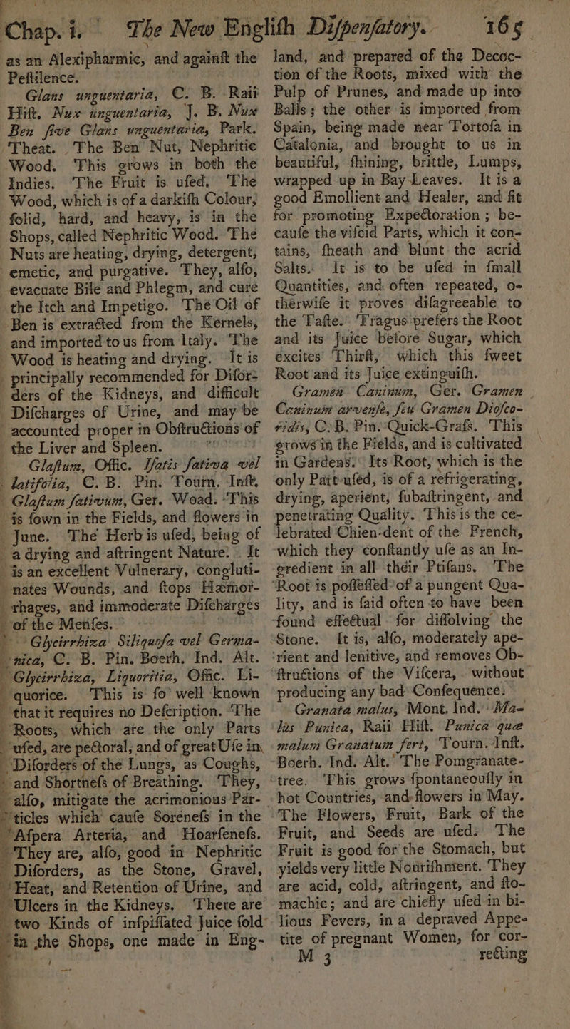 as an Alexipharmic, and againft the Peftilence. OM Glans unguentaria, C. B. Rai Hit. Nux unguentaria, J. B. Nux Ben five Glans unguentaria, Park. Theat. The Ben Nut, Nephritie Wood. This grows in both the Indies. The Fruit is ufed. ‘The Wood, which is of a darkifh Colour, folid, hard, and heavy, is in the Shops, called Nephritic Wood. ‘The Nuts are heating, drying, detergent, emetic, and purgative. They, alfo, evacuate Bile and Phlegm, and cure the Itch and Impetigo. The Oil of Ben is extrafted from the Kernels, _and imported to us from Italy. ‘The Wood is heating and drying. It is _ principally recommended for Difor- ders of the Kidneys, and difficult _Difcharges of Urine, and may be accounted proper in Obftructions of the Liver and Spleen. CHOOT | Gloftum, Offic. Vatis fativa vel datifolia, C.B: Pin. ‘Tourn. Ink. | Glaftum fativum, Ger. Woad. “This 4s fown in the Fields, and flowers in June. The Herbis ufed, being of _adrying and aftringent Nature. It is an excellent Vulnerary, congluti- nates Wounds, and. ftops Hamor- _rhages, and immoderate Difcharges of the Menfes. | | Gheirrhiza Siliquofa vel Germa- nica, ©. B. Pin. Boerh, Ind. Alt. | Ghyeirrbiza, Liquoritia, Offic. Li- quorice. This is fo’ well known i that it requires no Defcription. ‘The Roots, which are the only Parts ufed, are pectoral, and of great Ufe in, Diforders of the Lungs, as Coughs, 4 and Sarttbte of Breathing. ‘They, “ticles which caufe Sorenefs in the Afpera Arteria, and Hoarfenefs. _ They are, alfo, good in Nephritic ' Diforders, as the Stone, Gravel, Heat, and Retention of Urine, and “Ulcers in the Kidneys. There are / land, and prepared of the Decoc- — tion of the Roots, mixed with’ the Pulp of Prunes, and made up into Balls; the other is imported from Spain, being made near Tortofa in Catalonia, and brought to us in beautiful, fhining, brittle, Lumps, wrapped up in Bay Leaves. Itisa good Emollient and Healer, and fit for promoting Expectoration ; be- eaufe the vifeid Parts, which it con- tains, fheath and blunt the acrid Salts. It is to be ufed in {mall Quantities, and often repeated, o- therwife it proves difagreeable to the afte.’ 'Tragus prefers the Root and its’ Juice before Sugar, which excites Thirft, which this fweet Root and its Juice extinguith. Graméen Caninum, Ger. Gramen Caninum arvenfe, fee Gramen Diofeo- ridis, CB. Pin. Quick-Grafs. This erows in the Fields, and is cultivated in Gardens. Its Root, which is the drying, aperient, fubaftringent, and penetrating Quality. This is the ce- lebrated Chien-dent of the French, ‘which they conftantly ufe as an In- eredient in all their Ptifans. ‘The lity, and is faid often to have been It is, alfo, moderately ape- producing any bad Confequence. Granata malus, Mont. Ind. Ma- malum Granatum fert, Tourn. Inf. Boerh. Ind. Alt.’ The Pomgyanate- hot Countries, and» flowers in May. The Flowers, Fruit, Bark of the Fruit, and Seeds are ufed: The Fruit is good for the Stomach, but yields very little Nourifhment. They are acid, cold, aitringent, and fto- machic; and are chiefly ufed in bi- lious Fevers, ina depraved Appe- tite of pregnant Women, for cor-