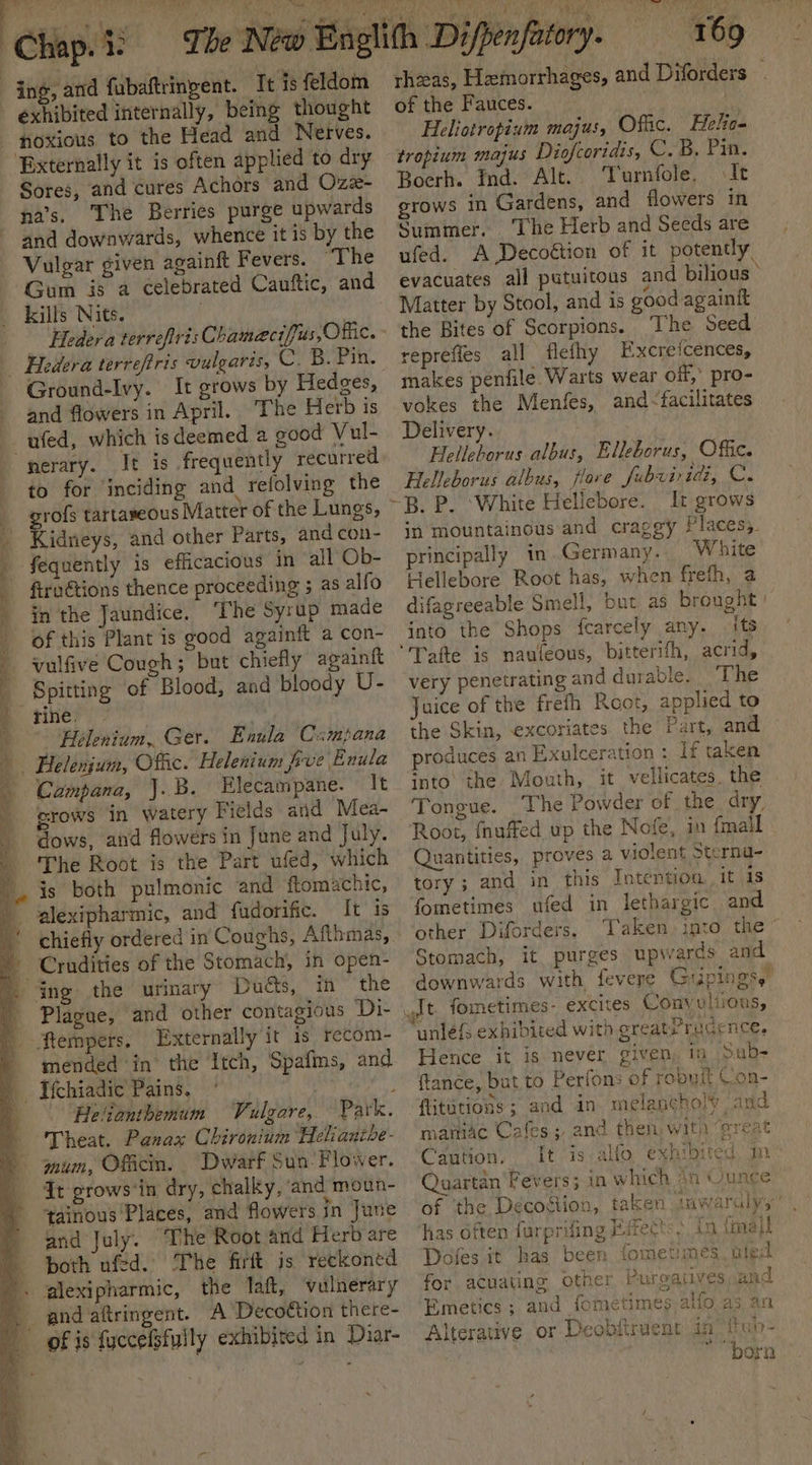 exhibited internally, being thought noxious to the Head and Nerves. ‘Externally it is often applied to dry Sores, and cures Achors and Ozz- nas, The Berries purge upwards and downwards, whence it is by the Vulgar given againft Fevers. *T he Gum is a celebrated Cauftic, and kills Nits. ba ‘ It grows by Hedges, Ground-lvy. . The Herb is and flowers in April. to for inciding and relolving the Ne tartaseous Matter of the Lungs, idneys, and other Parts, and con- fequently is efficacious in all Ob- firuétions thence proceeding ; as alfo in the Jaundice. ‘The Syrup made of this Plant is good againft a con- vulfive Cough; but chiefly againft Spitting of Blood, and bloody U- rine. i Helenium, Ger. Enula Campana Campana, J.B. Elecampane. It grows in watery Fields aid Mea- dows, and flowers in June and July. The Root is the Part ufed, which is both pulmonic and ftomachic, alexipharmic, and fudorific. It is Crudities of the Stomach, in open- Plague, and other contagious Di- Ttempers. Externally it is recom- mended ‘in’ the Itch, Spafms, and Helianthemum Vulgare, Park. Theat. Panax Chironium Heliantbe- mum, Officin. Dwarf Sun: Flower. It grows’in dry, chalky, and moun- tainous Places, and flowers in June and July. ‘The Root and Herb are The firft is reckoned lexipharmic, the Iaft, vulnerary and aftringent. A Decoétion there- Diar- rhzeas, Hemorrhages, and Diforders — of the Fauces. Heliotropium majus, Offic. Hele. tropium majus Diofcoridis, C. B. Pin. Boerh. ind. “Alt.: Turnfole, It grows in Gardens, and flowers in Summer. The Herb and Seeds are ufed. A Decoétion of it potently, evacuates all putuitous and bilious Matter by Stool, and is good againit the Bites of Scorpions. The Seed repreffes all flefhy Excreicences, makes penfile Warts wear off, pro- vokes the Menfes, and-facilitates Delivery. Helleborus albus, Elleborus, Offic. Helleborus albus, flove fubviridi, C. It grows jn mountainous and craggy Places; principally in Germany. White Hellebore Root has, when frefh, 2 difagreeable Smell, but as brought | into the Shops fearcely any. its ‘Tafte is naufeous, bitterifh, acrid, very penetrating and durable. ‘The Juice of the frefh Root, applied to the Skin, excoriates the Part, and produces an Exulceration : If taken into’ the Mouth, it vellicates, the Tongue. The Powder of the dry Root, fnuffed up the Nofe, in {mall Quantities, proves a violent Sterna- tory ; and in this Intention, it 1s fometimes ufed in lethargic and other Diforders, Taken: into the Stomach, it purges upwards and downwards with fevere Gtipingss unléfs exhibited with ereatrrucence. Hence it is never given, in Sub- ftance, but to Perfons of robuit Con- ftititions; and in. melancholy and maniac Cafes; and then with ‘great Caution, It is alfo. exhibited. in Quartan Fevers; in which 9 of ‘the Decoftion, taken 1nwaralyy’ , las often furprifing Eifects, in {mel Doles it has been fomeumes. tied for acuating other Purgatives and Emetics ; and fometimes alfo as an Alterative or Deobitruent in’ tub- * “bora