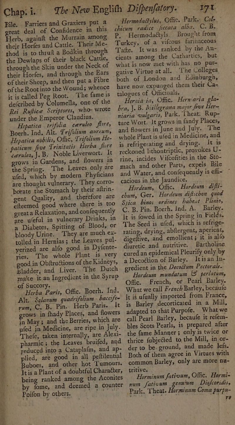 great deal of Confidence in this Herb, againft the Murrain among the Dewlaps of their black Cattle, through the Skin under the Neck of their Horfes, and through the Ears of their Sheep, and then put a Fibre ofthe Root into the Wound; whence it is called Peg Root. The fameis defcribed by Columella, one of the Rei Ruflice Scriptores, who- wrote under the Emperor Claudius. Hepatica . trifolia caeruleo flores Boerh. Ind. Alt. Trifolium aureum, Hepatica nobilis, Ofc, Trifolium He- paticum five Trinitatis Herba fiore grows in Gardens, and flowers in the Spring. The Leaves only are ufed, which by modern Phyficians are thought vulnerary. They corro- gent Quality, and therefore are efteemed good where there Is too great a Relaxation, and confequently are u(eful in yulnerary Drinks, in a Diabetes, Spitting of Blood, or bloody Urine. They are much ex- tolled in Hernias 5 the Leaves pul- yerized are alfo good in Dyfente- ries, The whole Plant is very Bladder, and Liver. ‘The Dutch make it an Ingredient in the Syrup Herba Paris, Offic. Boerh. Ind. Alt. Slanum quadrifolium baccifes yum, C. B. Pin. Herb Paris. It grows in fhady Places, and flowers in May; and the Berries, which are ufed in Medicine, are ripe in July. Thefe, taken internally, are Alexi- pharmic; the Leaves bruifed, and plied, are good in all peftilential Buboes, and other hot ‘Tumoors. It is a Plant of a doubtful Character, being ranked among the Aconites by fome, and deemed a counter - Hermodadtylus, Offic. Park. Col- chicum radice ficcata alba. C. a. P, Hermodaétyls. Brought from Turkey, of a vifcous farinaceous Tafte. It was ranked by the An- cients among the Cathartics, but what is now met with has no pur= _ gative Virtue at all. ‘The Colleges have now expunged them their Ca- talogues of Offictuals. Heraia-ia, Offic. Herniaria gla- bra, J. B. Millegrana major five Her~ niaria vulgaris, Park, Theat. Rup- ture Wort. Jt grows in fandy Places, and flowers in June and July. The whole Plant is ufed in Medicine, and is refrigerating and drying. It is reckoned lithontriptic, provokes U- rine, incides Vifcofities in the Sto- mach and other Parts, expels Bile and Water, and confequently is effi- cacious in the Jaundice. Hordeum, Offic. Hardeum) difli- chum, Ger. Hordeum diftichon quod Spica binos ordines habeat Plinio, C. B. Pin. Boerh. Ind. A. Barley. It is fowed in the Spring in Fields. The Seed is ufed, which is refrige~ rating, drying, abftergent, aperient, digeftive, and emollient; it is alfo diuretic and nutritive. Bartholine, cured an epidemical Pleurify only by a Decoétion of Barley. Itisan In- eredient in the Decoctum Pectorale. Hordeum mundatum 9 perlatuimy, Offic. French, or Pearl Barley. What we call French Barley, becaule it ié ufually imported from France, is Barley decorticated in a Mill, adapted to that Purpofe. What we call Pearl Barley, becaufe it refem- bles Scots Pearls, is prepared after the fame Manner 5 only is twice or thrice fubjected to, the Mill, in or- der to be. ground, and made lefs.' Both of them agree in Virtues with common Barley, only are more nu- tritive. ene! iL Horminum fativum, Offic. Hormi= num fativum genuium Digfcoridiss re
