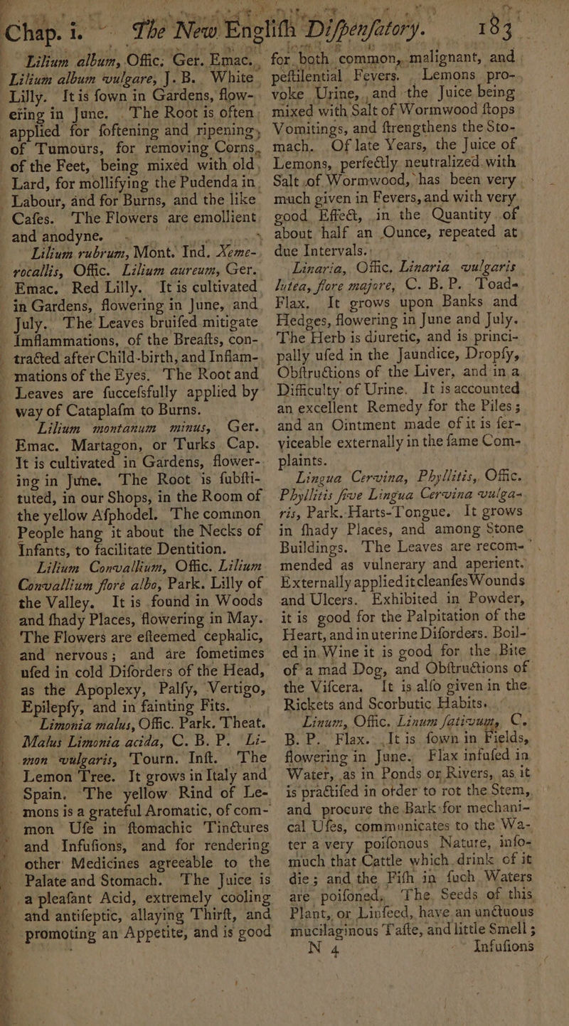 j Lilly. It is fown in Gardens, flow- of Tumours, for removing Corns, Lard, for mollifying the Pudenda in, and anodyne. Ee al Sg Lilium rubrum, Mont. Ind. Xeme- yocallis, Offic. Lilium aureum, Ger. in Gardens, flowering in June, and Imflammations, of the Breafts, con- Leaves are fuccefsfully applied by way of Cataplafm to Burns. Lilium montanum minus, Ger. The Root is fubfti- — the yellow Afphodel. ‘The common Infants, to facilitate Dentition. Lilium Convallium, Offic. Lilium It is found in Woods The Flowers are efteemed cephalic, Epilepfy, and in fainting Fits. Malus Limonia acida, C. B. P. Li- mon wulgaris, Tourn. Inft. ‘The Lemon Tree. It grows in Italy and mon Ufe in ftomachic Tinctures and Infufions, and for rendering other’ Medicines agreeable to the and antifeptic, allaying ‘Thirft, and for both common,..malignant, and | peftilential Fevers. _ Lemons pro-. voke Urine, ,and the Juice being mixed with Salt of Wormwood ftops Vomitings, and ftrengthens the Sto- mach. Of late Years, the Juice of Lemons, perfectly. neutralized. with Salt .of Wormwocd, has been very, &gt; much given in Fevers, and with very good Effe&amp;t, in the Quantity of due Intervals. | | ; Linaria, Othe, Linaria vulgaris lutea, fore majore, C. B.P. Toads Flax, It grows upon Banks and Hedges, flowering in June and July. - The Herb is diuretic, and 1s princi- pally ufed in the Jaundice, Dropfy, Obftru€tions of the Liver, and ina an excellent Remedy for the Piles; and an Ointment made of it is fer- yiceable externally in the fame Com- plaints. Lingua Cervina, Phyllitis, Offic. Phyllitis five Lingua Cervina vulga- ris, Park. Harts-Tongue. It grows in fhady Places, and among Stone Buildings. The Leaves are recom- mended as vulnerary and aperient. Externally applied itcleanfes Wounds Exhibited in Powder, it is good for the Palpitation of the Heart, and inuterine Diforders. Boil- ed in. Wine it is good for the Bite of a mad Dog, and Obftructions of the Vifcera. It is alfo given in the. Rickets and Scorbutic Habits. : Linum, Offic. Linum fativum, C. B. P. Flax. It is, fown in Fields, flowering in June. Flax infufed in Water, .as in Ponds or Rivers, as it» is practifed in otder to rot the Stem, and procure the Bark:for mechani- cal Ufés, communicates to the Wa- ter a very poifonous Nature, info- much that Cattle which drink of it die; and the Fith in fuch, Waters are poifoned, The, Seeds of this, Plant, or Linfeed, have.an unctuous mucilaginous T afte, and little Smell ;