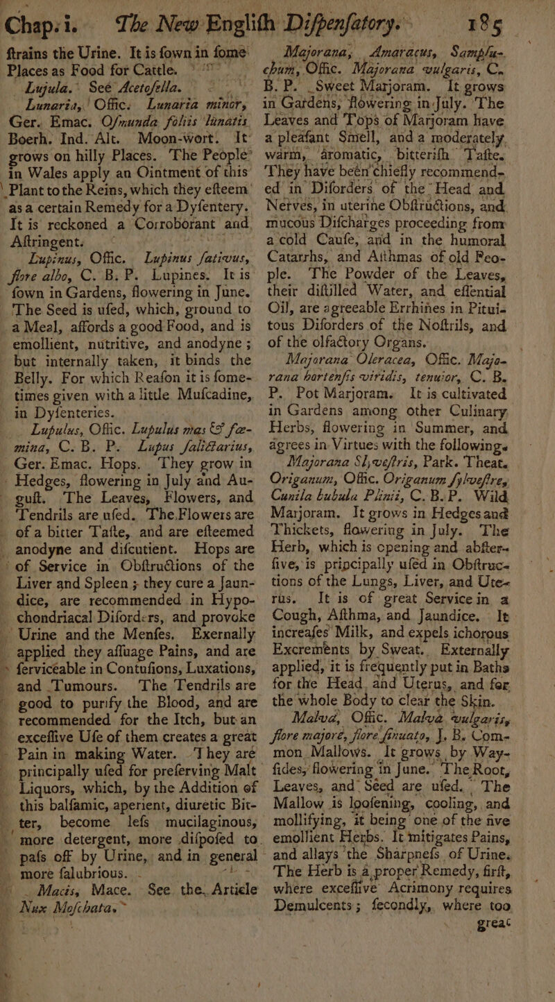 Places as Food for Caitle. Lujula. See Acetofella. Lunaria,' Offic: Lunaria minor, Ger. Emac. O/nunda folits linatis Boerh. Ind. Alt. Moon-wort. Aftringents — Lupinus, Offic. Lupinus fativus, fore albo, C. B. P. Lupines. It is fown in Gardens, flowering in June. emollient, nutritive, and anodyne ; but internally taken, it binds the Belly. For which Reafon it is fome- times given with a little Mutradineg, Lupulus, Offic. Ladulae mas 5 fa- They grow in guit. The Leaves, Flowers, and The.Flowers are Hops are Liver and Spleen ; they cure a Jaun- =&gt; tro ia, t Exernally ferviceable in Contufions, Luxations, and Tumours. The Tendrils are exceflive Ufe of them creates a great They are this balfamic, aperient, diuretic Bit- become lefs more falubrious. Macis, Mace. See. the. Article 185 Majorana, Amar acus, Sampla- lajorana vulgaris, C. B. P. _ Sweet Marjoram. Tt grows in Gatdens, flowering in July. ‘The Leaves and Tops of Marjoram have a pleafant ‘Smell, anda moderately. warm,, aromatic, bitterifh Tale. ‘They have beén’ chiefly recommend. ed in Diforders of the Head and Nerves, i in uterine Obfiraétions, and: mucous Difcharges proceeding from Catarrhs, and Aithmas of old Peo- ple. The Powder of the Leaves, their diftilled Water, and effential Oi], are agreeable Errhines in Pitui- tous Diforders of the Noftrils, and of the olfactory Organs. Majorana Oleracea, Ofc. Maja- rana hartenfis viridis, tenuior, C. B. ‘P. Pot Marjoram. It is cultivated in Gardens among other Culinary, Herbs, flowering in Summer, and agrees in Virtues with the followings Majorana S),veftris, Park. Theat. | Origanum, Othe. Origanum fylvefre, Cunila bubula Piinii, C.B.P. Wild Marjoram. It grows in Hedges and Thickets, flowering in July. The Herb, which is cpening and abfter- five, is pripcipally uféd in Obftruc- tions of the Lungs, Liver, and Ute« rus. It is of great Servicein a Cough, Afthma, and Jaundice, It increafes Milk, and expels ichorous Excrements by Sweat. Externally applied, it is fr equently putin Baths for the Head. and Uterus, and fer the whole Body to clear the Skin. Malva, Offic. “Malva vulgaris ity fore majoré, flore fe tnuato, |. Be Com- mon _Mallows. It grows | by Way- fides, flowering in June. The Root, Leaves, and Seed are ufed. The Mallow is loofening, cooli ing, and mollifying, it being one of the five emollient Hexbs. It mitigates Pains, and allays ‘the Sharpnefs | of Urine. The Herb is a, proper Remedy, firft, where exceflive Acrimony requires Demulcents; fecondly, where too great