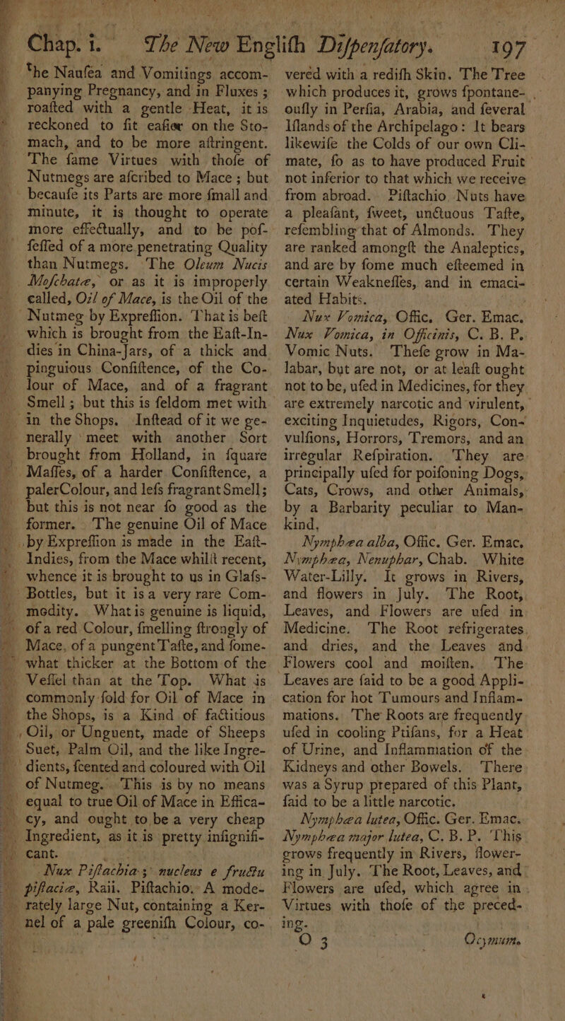 Chap. 1.” the Nanfea and Vomitings accom- panying Pregnancy, and in Fluxes ; roafted ze fp a gentle Heat, it is reckoned to fit eafier on the Sto- The fame Virtues with thole of Nutmegs are afcribed to Mace ; but _ becaufe its Parts are more fmall and minute, it is thought to operate more effectually, and to be pof- feffed of a more.penetrating Quality than Nutmegs. ‘The Olewm Nucis Mofchate, or as it is improperly called, Oz/ of Mace, is the Oil of the eS ee which is brought from the Eaft-In- ‘dies in China-Jars, of a thick and. pinguious Confiftence, of the Co- Smell ; ; but this is feldom met with Inftead of it we ge- ~ ie. BS ear ap ea, me Sa eoneE = ek ne brought from Holland, in {quare _palerColour, and lefs fragrant Smell; _ but this is not near fo good as the The genuine Oil of Mace by Expreffion is made in the Eaft- Indies, from the Mace whilit recent, whence it is brought to us in Glafs- Bottles, but it isa very rare Com- medity. _Whatis genuine is liquid, | q Mace, of a pungent Tafte, and fome- - Vefiel than at the Top. What 4s the Shops, is a Kind of factitious , Oil, or Unguent, made of Sheeps Suet, Palm Oil, and the like Ingre- -’ dients, fcented and coloured with Oil Ae Mh +h _ Ingredient, as it is pretty infignifi- Nux Piftachia. 5: nucleus e Srudu D pict, Raii. Piftachio.» A mode- rately large Nut, containing a Ker- ‘ ' 197° vered with a redifh Skin. The Tree which produces it, grows {pontane- _ Iflands of the Archipelago: It bears likewile the Colds of our own Cli- mate, fo as to have produced Fruit not inferior to that which we receive from abroad. Piftachio, Nuts have a pleafant, fweet, unétuous Tatte, refembling that of Almonds. They are ranked amongft the Analeptics, and are by fome much efteemed in certain Weaknefles, and in emaci- . ated Habits. - Nux Vomica, Offic. Ger. imac: Nux Vomica, in Officinis, C. B. Pe Vomic Nuts. Thefe grow in Ma- labar, byt are not, or at leaft ought not to be, ufed in Medicines, for they are extremely narcotic and cuial out exciting Inquietudes, Rigors, Con~ vulfions, Horrors, Tremors, and an irregular Refpiration. ‘They are. principally ufed for poifoning Dogs, Cats, Crows, and other Animals, by a Barbarity peculiar to Man- kind, Nymphea alba, Offic. Ger. Emac, Nymphaea, Nenuphar, Chab. White Water-Lilly. It grows in Rivers, and flowers in July. The Root, Leaves, and Flowers are ufed in Medicine. The Root refrigerates. and dries, and the Leaves and The Leaves are faid to be a good Appli- cation for hot Tumours and Inflam- mations. The Roots are frequently ufed in cooling Ptifans, for a Heat’ of Urine, and Inflammation of the Kidneys and other Bowels, There was a Syrup prepared of this Plant, faid to be a little narcotic. Nymphaea lutea, Offic. Ger. Emac. Nymphaea major lutea, C. B. P. ‘This grows frequently in Rivers, flower- ing in July. The Root, Leaves, and | Flowers are ufed, which agree in. Virtues with thofe of the pore ing.