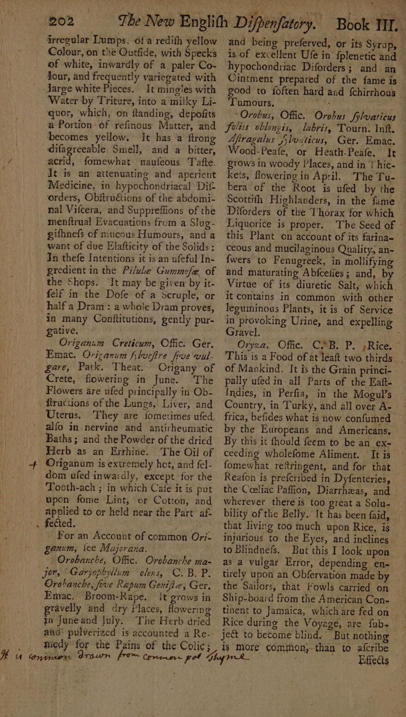 ou Colour, on the Outfide, with Specks of white, inwardly of a paler Co- Jour, and frequently variegated with Jarge white Pieces. It mingles with Water by Triture, into a milky Li- quor, which, on ttanding, depofits a Portion: of refinous Matter, and becomes yellow. It has a ftrong difagreeable, Smell, and a bitter, acrid, fomewhat naufeons T afte. Medicine, in hypochondriacal Dit orders, Obfirudétions of the abdomi- nal Vifcera, and Suppreflions of the menftrual Evacuations from a Slug- eifhnefs of mucous Humours, and a want of due Elafticity of the Solids: In thefe Intentions it is an ufeful In- the Shops. ‘It may be given by it- felf in the Dofe of a Scruple, or in many Conititutions, gently pur- gative. Origanim Creticum, Offic. Ger. Emac. Oricanum filucfre five vul- gare, Park. Theat. Ongany of Crete, flowering in June. The Flowers are ufed principally in Ob- Uterus. They are jometimes ufed, alfo in nervine and antirheumatic Herb as an Evyrhine. The Oil of © dom ufed inwardly, except for the ‘Tooth-ach ; in which Cafe it is put upon fome Lint, or Cotton, and applied to or held near the Part af- fected. ei For an Account of common Ori- ganum, tee Majorana. /Orobanche, Offic. Orebanche ma- jor, Garyophyllum olens, C. BP. Orobanche, five Rapum Genijie, Ger, Emac. Broom-Rape. It grows in gravelly and dry Places, flowering jn Juneand July. The Herb dried medy for the Pains is. of excellent Ufe in {plenetic and ‘hypochondriac Diforders; and an Cintment prepared of the fame is good to foften hard and {chirrhous ‘Tumours. : | *Orobus, Offic. Soltis oblonvis, .labris, Tourn. Inf. Afiragalus Jlouiicus, Ger. Emac. Wood-Peafe, or Heath-Peafe. grows in woody Places, and in? hic- kets, flowering in April. The Tu- bera of the Root is ufed by the Scottith Highlanders, in the fame Diforders of the Thorax for which fwers to Fenugreek, in mollifying and maturating Abfcefies; and, by it contains in common with other leguminous Plants, it is of Service Gravel. of Mankind. It is the Grain princi- pally ufed in all Parts of the Eaft. Indies, in Perfia, in’ the Mogul’s Country, in Turky, and all over A- by the Europeans and Americans. By this it fhould feem to be an ex- fomewhat reftringent, and for that the Coeliac Paffion, Diarrhzas, and wherever there is too great a Solu- bility of the Belly. It has been faid, injurious to the Eyes, and inclines as a vulgar Error, depending en- tirely upon an Obfervation made by the Sailors, that Fowls carried on Rice during the Voyage, are fub- ject to become blind. But nothing a{fcribe Effects
