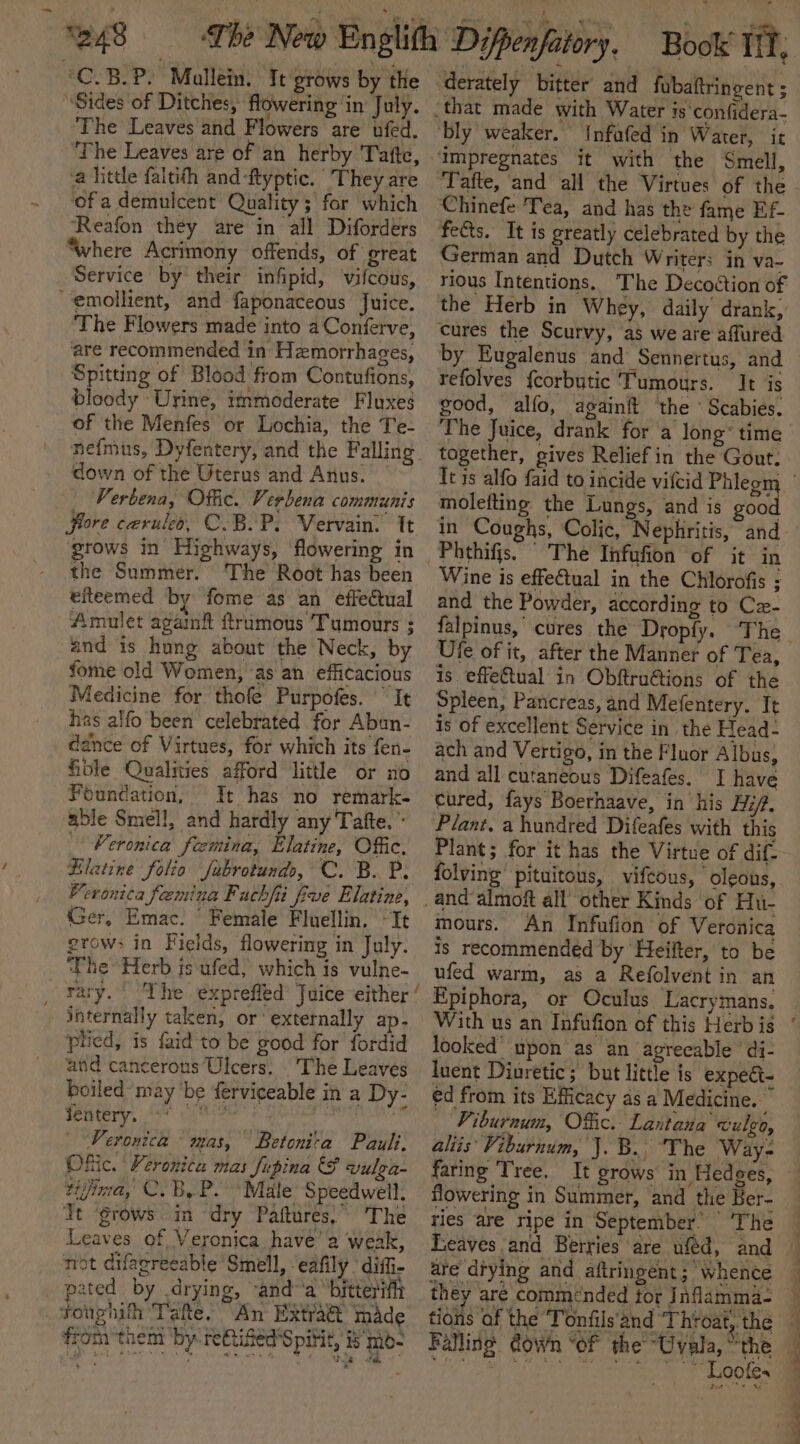 ‘C.B.P. Mallein. It grows by the “Sides of Ditches, flowering in July. ‘The Leaves and Flowers are ufed. “The Leaves are of an herby Tate, a little faltith and-ftyptic. They are ‘ofa demulcent Quality; for which ‘Reafon they are in all Difordérs where Acrimony offends, of great Service by their infipid, vifcous, “emollient, and faponaceous Juice. The Flowers made into a Conferve, are recommended in Hzmorrhages, Spitting of Blood from Contufions, bloody Urine, immoderate Fluxes of the Menfes or Lochia, the Te- down of the Uterus and Anus. Verbena, Offic. Verbena communis fore ceruleo, C.B.P. Vervain. Tt grows in Highways, flowering in the Summer. The Root has been efteemed by fome as an effectual Amulet agamft ftramous Tumours ; and is hung about the Neck, by fome old Women, ‘as an efficacious Medicine for thofe Purpofes. “It has alfo been celebrated for Absn- dance of Virtues, for which its fen- file Qualities afford little or no Foundation, It has no remark- able Smell, and hardly any Tafte. ” - Feronica feemina, Elatine, Offic. Elatine folio fubrotunds, C. B.. P. Veronica feemina Fuchfi frve Elatine; Ger, Emac. “ Female Fluellin. ~It grows in Fields, flowering in July. ‘Phe Herb is ufed, which is vulne- - internally taken, or externally ap- pried, is faid to be good for fordid and cancerous Ulcers. The Leaves boiled may be ferviceable in a Dy- Setetery, en ka ew a Veronica mas, Betonita Pauli, Ofic. Veronica mas fupina &amp; vulea- vijima, C.B,P. Male Speedwell. it ‘grows in -dry Paftures,” ‘The Leaves of Veronica have’ a weak, not difagreeable Smell, eafily * difi- pated by drying, -and- a bitterifi _ Foughifh Tafte. An Extra&amp; made from them ‘by reRifed Spifit, #8 'nio- derately bitter and fubaftringent ; that made with Water is‘confidera- Chinefe Tea, and has the fame Ef- fects. It is greatly celebrated by the German and Dutch Writer: in va- rious Intentions. The Decoétion of the Herb in Whey, daily drank, cures the Scurvy, as we are affured by Eugalenus and Sennertus, and refolves {corbutic Tumours. It is good, alfo, againft the ‘Scabies. together, gives Reliefin the Gout. molefting the Lungs, and is good in Coughs, Colic, Nephritis, and Phthifjs. The Infufion of it in Wine is effe€tual in the Chlorofis ; and the Powder, according to Cxz- falpinus, cures the Dropfy. The Ufe of it, after the Manner of Tea, is effectual in Obftru@tions of the Spleen, Pancreas, and Mefentery. Tt is of excellent Service in the Head- ach and Vertigo, in the Fluor Albus, and all cutaneous Difeafes. I have cured, fays Boerhaave, in his Hit. Plant. a hundred Diteafes with this Plant; for it has the Virtue of dif- folving’ pituitous, vifcous, ‘oleons, mours. An Infufion of Veronica is recommended by Heiiter, to be ufed warm, as a Refolvent in an Epiphora, or Oculus Lacrymans. looked’ upon as an agreeable’ di- luent Diuretic; but little is expect- ed from its Efficacy as a Medicine. Viburnum, Offic. Lantana wulgo, aliis Viburnum, J. B., ‘The Way- fating Tree. It grows in Hedges, flowering in Summer, and the Ber- ries are ripe in September’ ‘The are drying and aftringent ; whence they are commended tor J nflamma- tions of the Tonfils'and ‘Throat, the Loofes Oe Pe ee ree _— _——