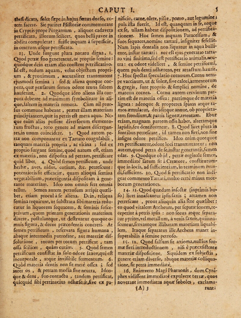 fhtfi dicata, feleVfxpe in hujus foetus dorfo, cc- tem facere. Sic pariter Hiflorix commemorant in Cryptis prope Pergamum , aliquot cadavera petrificata, illorum fcilicet, quos belli pavor in abdita compulerat: fuifle inquam a fuperficie, in centrum ufque petrificata. x;. XJnde furgunt plura notatu digna, I. Quod petrx fuo generentur, ac proprio femine: quodque dein etiam alio conflent petrificativo. Id efl , nedum aquam, velnt objedlum propri¬ um , & proximum , naturaliter transmutent ejusmodi femina j fed & aliena quoque cor¬ pora, quas prxfatum femen odore tenus faltem hauferint. 2. Quodque ideo aliena illa cor¬ pora debeant ad minimum fymbolizare in ali¬ quo, ialtem in materia remota. Cum nilpror- fus commune habeant , prxter illam materiam principiantem,qux in petris efl mera aqua. Ne¬ que enim alias poffent diverforum elemento¬ rum frudlus , toto genere ad minus difcrepan- tes,in unum coincidcre. 3. Quod autem pe¬ tra? non componantur ex Tartaro coagulabili , tanquam materia propria , ac vicina j fed ex proprio furgant femine, quod natum efl, etiam ex materia, non difpofita ad petram, petrificare quid libet. 4. Quod femen petrificum , unde herbas, aves, nidus, corium, &c. petrefcunt: potemiorisfit efficacix, quam alioqui femina vegetabilium, prxexigentia difpofitam a gene¬ rante materiam. Ideo non omnis fert omnia tellus. Semen autem petrofum arripit quxli- bet, etiam procul a fe aliena. Dein, reliqua femina requirunt, ut fubflrata fibi materia redu¬ catur in liquorem fequacem, & feminis fufce- ptivum,quem primam generationis materiam dixere, poflulantque,ut definiatur quoqueo- mnis figura, & decor prxcedentis concreti. At femen petrificum , refervata figura humana , absque intermedia putredine, aut materiae dif- folutione , totum per totum petrificat , tam offa fcilicet , quamcutim. y. Quod femen petrificum confiflat in folo odore faxeo,quiefl incorporale , atque invifibile fermentum. 6* Quod materia dentis non fit mere offea ^ fed inter os , & petram media five neutra. Ideo- que & dens , fuo contadlu , tandem petrificat, quicquid fibi pertinacius adhxfexit,five ex pa¬ nificio, carne, olere, pifte, pomo, aut legumine 1 pulsifla fuerit. Id efl, quanquam in fi» neque ex fe, ullam habeat difpofitionem, ad petrifica- tionem. Hoe femen inquam Paracclfum, & fuos fequaces,nomine tartari, infigniter fefellit^ Nam lapis dentalis non liquatur in aqua bulli- ente, inflar tartari: nec efl ejus generatio tarta- ro vini finitima,fed efl petrificatio animalis,»eug tra: ex odore videlicet , & femine petriformi, quem puls denti adhxrens, per atta£lum haurit, 7. Huc fpedat fpeculatio cornuum.Cornu nem¬ pe vaccinum, ut & folex, five calcei,armentorum & gregis, funt proprio & fimplici nomine, de materia cornea. Cornu autem cervinum par- tim efl de materia oflea: partimque de materia lignea : adeoque & propterea fpinas atque ra¬ mos xmulatur, deciditque annue, ob proprieta¬ tem frondium,& partis lignex.retentarm Ebur etiam, magnam partem offis habet, alteramque lapidis,feu dentiformem. 8* Quod licet plura in fontibus petrefeant, id tamen non fieri,non fine infigni odore petrifico. Ideo enim quotquot res petrificantur,odore Icci transmutantur; non autem,quod petra de fe,inflar generantis,femen edat. 9. Quodque ob id , petrx orginale femen, immediate fatum fit a Creatore, confKtutum- que in locis, ad fufficicntiam,in terminum fnun- di,fufficiens. 10. Quod fi pertificatio non indi¬ geat commentoTartaii,multo certe minus mor¬ borum generationes. 14. 11. Quod quaedam inferiae (Inpnmis bu¬ fo) licet innafeantur ipfisfaxis ; attamen non petrefeant , prout alioquin alia fere quaslibet i eo quod vitalem Archeum, per feparationem,re- ceperint a petris ipfis : non fecus atque fepara- tur pyrites,vel metall um, a venis faxeis,quiinna- fcuntur,fervantque illibatam materiam liquabi¬ lem. Itaque feparatus illeArcheus manet in- fuperabilis a femine petrofo. iS* ii. Quod falfumfit axioma,nullius for¬ mas fieri introdu&iohem , nifi e prxexfiflcnte materia? difpofitione. Siquidem exfubje&is , genere etiam diverfis, absque materia? colliqua- tione, fit petra immediate. 1(5. Enimvero Magi Pharaonls , dumCyni- phes vidiffent immediate expulvere terra?, quos noverant immediatas aqua? foboles , exclama- i A ) } runt?