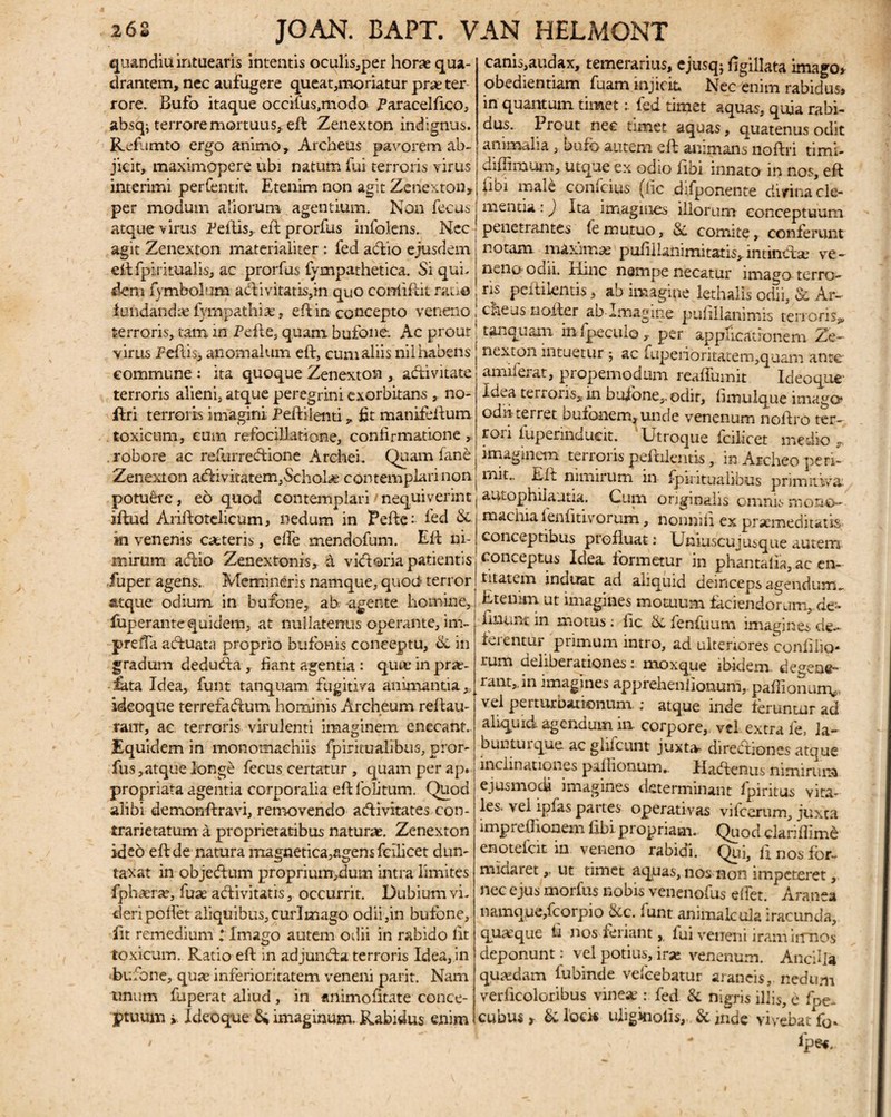 qu&n diu intuearis intentis oculis,per horae qua¬ drantem, nec aufugere queat,moriatur prae ter rore. Bufo itaque occifus.modo Earacelftco, absq; terrore mortuus, eft Zenexton indignus. Refumto ergo animo, Archeus pavorem ab¬ jicit, maximopere ubi natum fui terroris virus interimi perfentit. Etenim non agit Zenexton, per modum aliorum agentium. Non feeus atque v irus Peftis, eft prorfus infolens.. Nec agit Zenexton materialiter : fed acftio ejusdem eilfpiritualis, ac prorfus fympathetica. Si qui. dem fymbolum alii vitatis,in quo conftftit ratio fundandae fympathias, eft in concepto veneno terroris, tam in Pelle, quam bufone; Ac prout virus Pedis, anomalum eft, cum aliis nil habens commune : ita quoque Zenexton , altivkate terroris alieni, atque peregrini exorbitans , no- ftri terroris imagini Peftilenti, fit manifeftum toxicum, cum refociilatione, confirmatione, . robore ac refurreHione Archei. Quam fane Zenexton ajHivitatem,Schol<« contemplari non potuere, eo quod contemplari/nequiverint illud Arillotelicum, nedum in Pelle: fed Si. ki venenis ceteris, elfe mendofum. Eli ni¬ mirum adlio Zenextonis, A vkftoria patientis iuper agens.. Memineris namque, quod terror atque odium in bufone, ab. -agente homine, fuperante quidem, at nullatenus operante, im- prefTa acftuata proprio bufonis conceptu, Si in gradum dedudla, fiant agentia : quae in pro¬ lata Idea, funt tanquam fugitiva animantia » ideoque terrefadum hominis Archeum reftau- rant, ac terroris virulenti imaginem enecant. Equidem in monomachiis Ipiritualibus, pror- fus^atque longe fiecus certatur , quam per ap. propriata agentia corporalia eft 1'olitum. Quod alibi demonftravi, removendo aftivitates con- trarietatum a proprietatibus naturae. Zenexton ideo elide natura magnetica,agens fcilicet dun- taxat in objedlum proprium,dum intra limites fphaera?, fuse adlivitatis, occurrit. Dubium vi¬ deri polfet aliquibus,curlmago odii,in bufone, iit remedium i Imago autem odii in rabido lit toxicum. Ratio eft in ad juncfta terroris Idea, in bufone, quae inferioritatem veneni parit. Nam unum fuperat aliud, in «ilimofitate conce¬ ptuum > Ideoque imaginum. Rabidus enim canis,audax, temerarius, cjusq; ftgillata imago, obedientiam fuam injicit. Nec enim rabidus, in quantum timet: fed timet aquas, quia rabi¬ dus. Prout nec timet aquas, quatenus odit animalia, bufo autem eft animans noftri timi- diffimum, utque ex odio libi innato in nos, eft libi male conicius (fic difponente divina cle¬ mentia :) Ita imagines illorum conceptuum penetrantes (emutuo, Sl comite, conferunt notam maxima? pufillanimitatis,intinxftae ve¬ neno* odn. tunc nempe necatur imago terro¬ ris pellilentis, ab imagine lethalis odii, & Ar¬ cheus uoiler ab Imagine pulillanimis ten oris» tanquam m fipeculo, per applicationem Ze- nexion intuetur ■, ac fupenoritatem,quam ante aixiifierat, propemodum realfiumit Ideoque Idea terAoris» in bufone,, odit, fimulque imago* odii terret bufonem, unde venenum noftro ter¬ rori lupennuucit. Utroque ficilicet medio r imaginem* teirons pellilentis, in Archeo peri¬ mit.. Eft nimirum in- Ipiritualibus primitiva amophiiaatia. Cum originalis omnis mono- machia lenfitivorum, nonnift ex praemeditatis conceptibus profluat: Uniuscujusque autem conceptus Idea, formetur in phantalia, ac en- titatem induat ad aliquid deinceps agendum- Etenim ut imagines motuum faciendorum, de¬ linunt in motus; iic Si fenfiuum imagines de¬ ferentur primum intro, ad ulteriores confido- rum deliberationes r moxque ibidem defene¬ rant,, in imagines apprehenfionum,. paflionun^, vel perturbationum ; atque inde feruntur ad aliquid agendum in. corpore, vel. extra fe, la- buntuique. ac glificunt juxta- diredtiones atque inclinationes paliionum.. Hacftenus nimirum ejusmodi imagines determinant fpiritus vira¬ les. vel ipfias partes operativas vilcerum, juxta impreflionem libi propriam.. Quod clarifiimd enoteicit in veneno rabidi. Qui, li nos for¬ midaret ,. ut timet aquas, nos non impeteret, nec ejus morfus nobis venenofus effiet. Aranea namq.ue,ficorpio &c. fiunt animaleula iracunda, quaeque ti nos feriant, fiui veneni iram iirnos deponunt: vel potius, ir* venenum. Ancilla quaedam lubinde veficebatur araneis, nedum verficoloribus vine* : fied & nigris illis, e fipe- cubus, Si locw ufiginolls, & inde vivebat fio- fpe«.