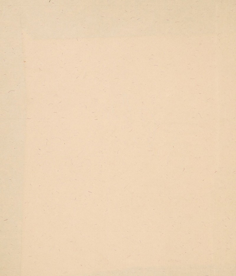 \ \ \ \ 'x /- i \ \ V. V \