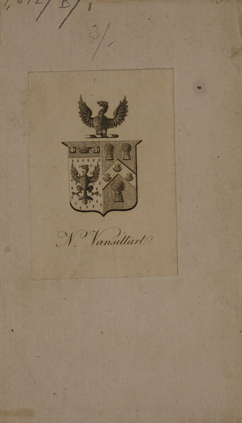 a, é Sa er tty / ar / i ee pte ce teeny / LÄ inlet | “oO 49 Sy, Sim