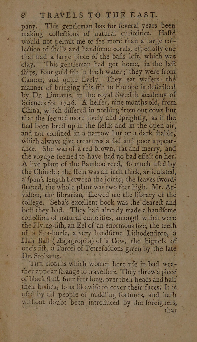 _pany. This gentleman has for feveral years Nag making .colle&ions of natural” curiofities. Hafté : would not permit me to fee more than a large col- lection of fhells and handfome corals, efpecially one that had a large piece of the bafis left, which was clay. ‘This gentleman had got home, in the laft fhips, four gold fifh in frefh water ; they were from Canton, and quite lively. They eat wafers: thé manner of bringing this fith to Europe is deferibed by Dr. Linneus, in the royal Swedith academy of Sciences for 1746. A heifér, nine months old, from, China, which differed in nothing from our cows but that fhe feemed more lively and fprightly, as if fhe had been bred up in the fields and in the open air, and not confined in a narrow hut or a dark: ftable; which always give creatures a fad and poor appear: ance. She was of a red brown, fat and’ merry, and the voyage feemed to have had no bad effeét on her. A live plant of the Bamboo reed, fo much ufed by the Chinefe; the {tem was an inch thick, articulated, a fpan's length between the joints; the leaves {word- fhaped, the whole plant was two feet high. Mr. Ar- vidfon, the librarian, fhewed me the library of the college. ‘Seba’s excellent book was the deareft and beft they had. They had already made a handfome collection of natural curidfities, amongft which were the Flying-fifh, an Eel of an enormous fize, the teeth of a Sea-horfe, a very handfome Lithodendron, a Hair Ball ( Zgagropila) of a Cow, the bignefs of - one’s fit, a Parcel of Fetrefattions given by the late Dr. Stobets.. : | THE cloaths which women here ufe in bad wea- ther appear ftrange to travellers. They throw’a piece of black ftuff, four feet long, over their heads and half their bodies, fo as likewife to cover their faces. It is. ufed by all people of middling fortunes, and hath without couee been introduced BY the foreigners, _ | char