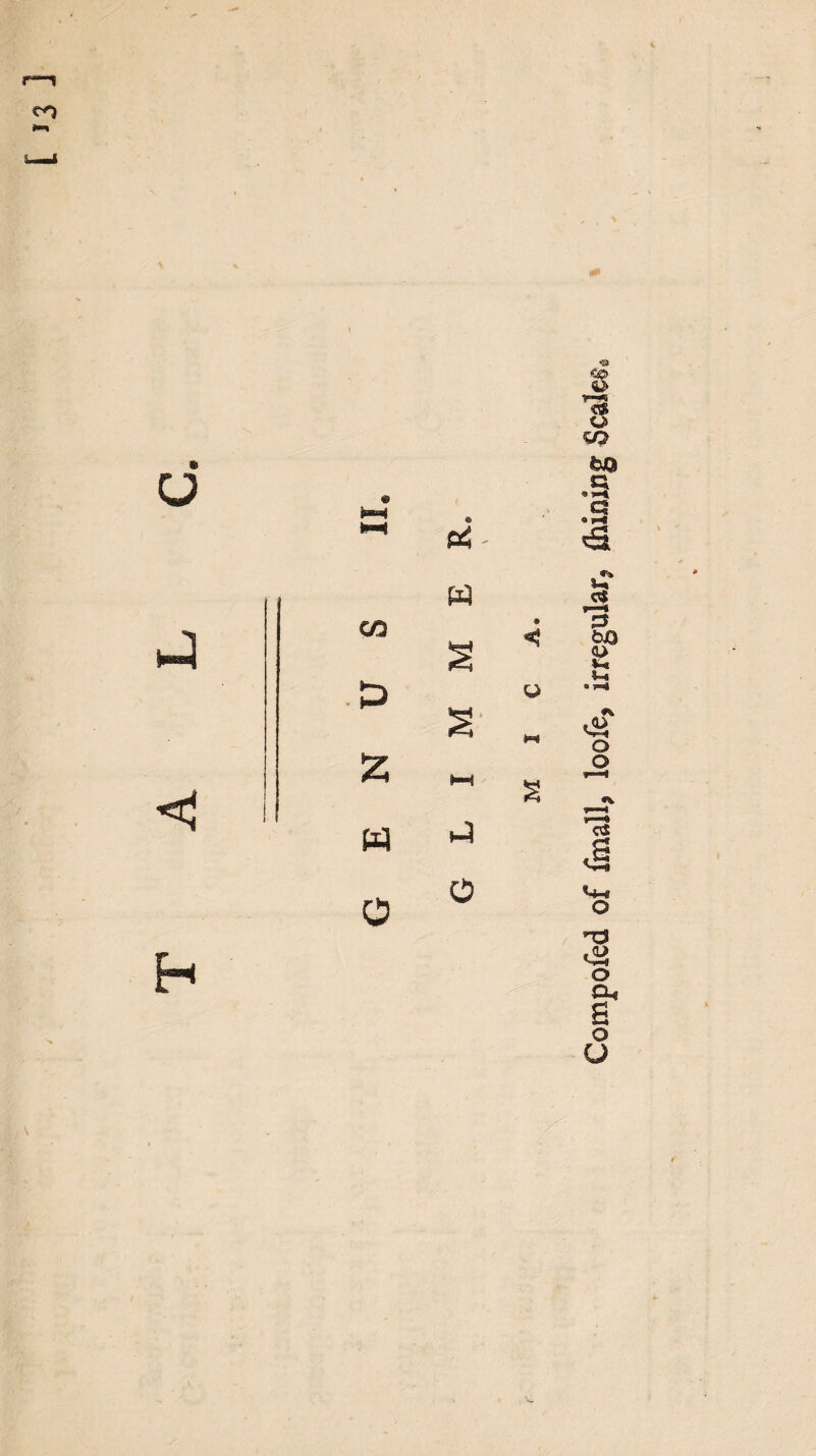 Compofed of fmall, loofe, irregular? Alining Scales.