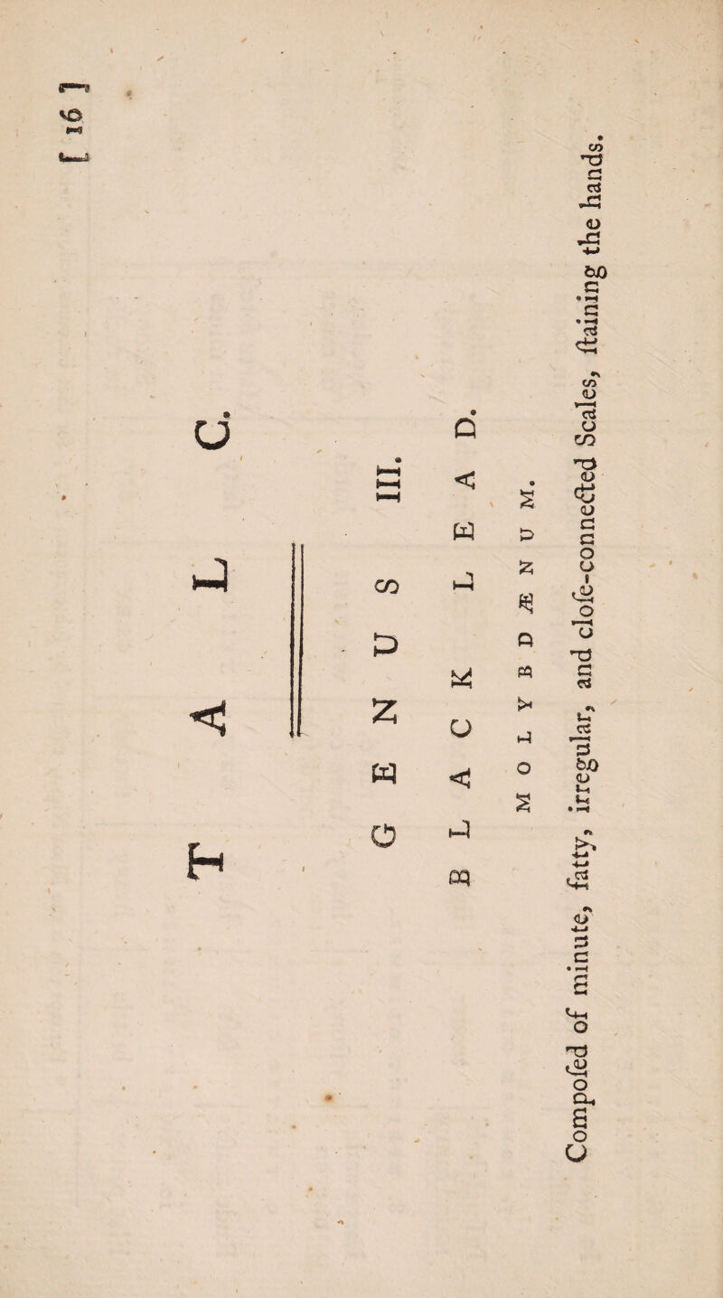 »—ff » Compofed of minute, fatty, irregular, and clofe-con netted Scales, ftaining the hands.