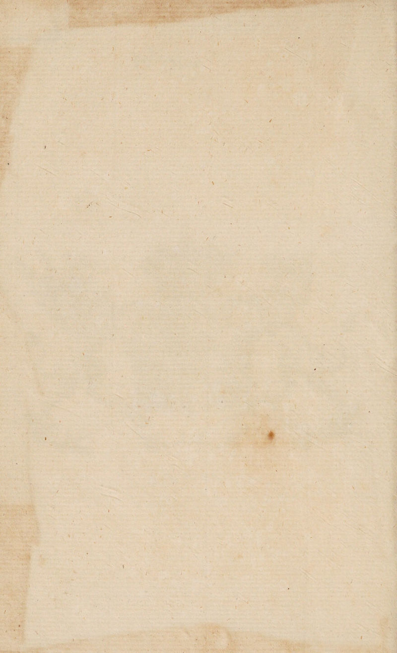 '.r. -v. *ifx . ' * • ■'< '■ '•• - ■ • ' ■-, vv,. 1 - \ \ N ) i /. ) * j ♦ / i f