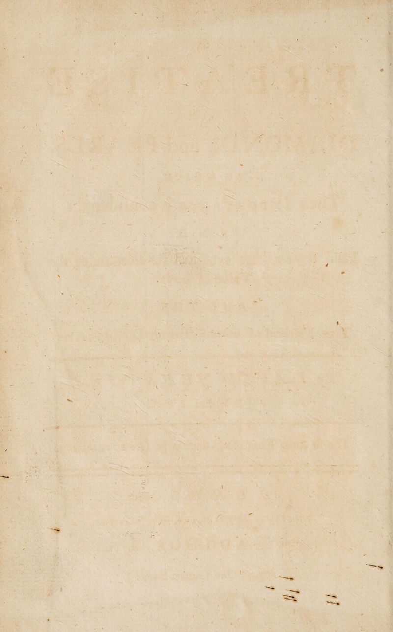 I / \ { . / / y •V \ l