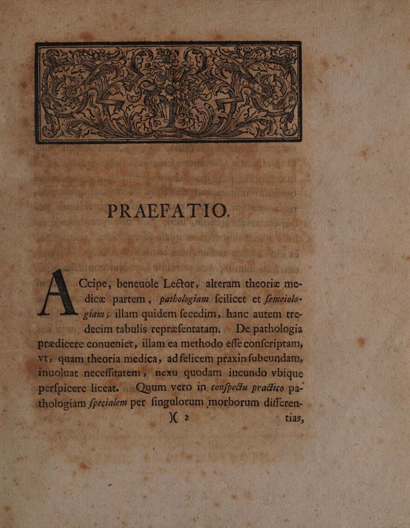 Lilian TESN T rehus dclícdi et lane à 3 - giain ; illam quidem fecedim,. hanc autem tre- .. decim tabulis: reprifentatam. .- ^. De pathologia ub perdis Gónueniet, illam. ea güetuóde, efie Cage, Ads in Eins. aeciifienile, nexu. iin: idi vbique B perfpicere: liceat... Quum. vero in; confpedfu. pradico pa- | Sees Yoga pt fingulorum. morborum differen-