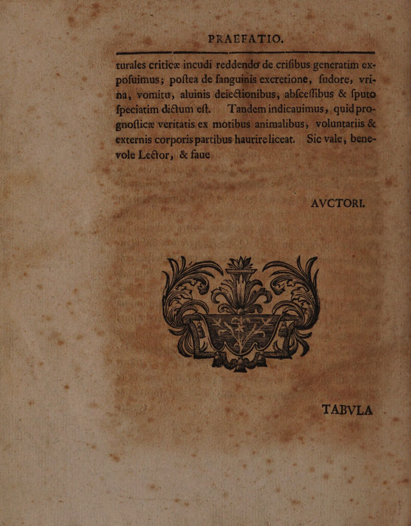 turales critice incudi reddendo de crifibus generatim ex- pofüimus; poftea de fanguinis excretione, fudore, vri- hà, vomitu, aluinis deie&amp;tionibus; abfceffibus &amp; fputo. fpeciatim dictum efl... Tandem indicauimus, quid pro- gnoflice veritatis ex motibus animalibus, voluntariis &amp; externis corporis partibus haurircliceat. Sic vale; bene- vole Leétor,. &amp; faue AVCTORI. TABVLA