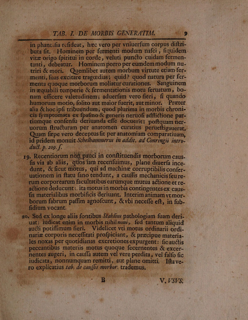 . in phanc.fia refideat, hzc vero per vniuerfum corpus diftri- /' ^ buta fit. Hominem per fermenti modum nafci , fiquidem. s vite origo fpiritui in corde, veluti puncto cuidam fermen- tanti, debeatur. Hominem porro per eumdem modum nu- — *. striri &amp; mori, Quemlibet autem morbum virtute etiam fer- - ^ menti, füas excitare tragoedias; quid? quod natura per fer- ^ »'menta quoque morborum moliatur curationes. ' Sanguinem — dnsquabili temperie &amp; fermentationis motu feruatum, bo- mam efficere valetudinem; aduerfam vero fieri, fi quando -- humorum motio, folito aut maior fuerit, autminor. Pretet - 8lia &amp; hocipfi tribuendum, quod plurima in morbis chroni- /-- cis fymptomata ex fpafmo &amp; generis neruofi adflictione par- - tiamque confenfu deriuanda cffe docuerit: poftquam ner- uorüm ftructuram per anatomen curatius perueftigauerat, ^C Quam fepe vero deceptus fit per anatomiam comparatiuam, ^. id pridem monuit Sche/bagmnerus in addit. ad Convmgii intro- 20 dud. p. zog. f. — Ju EA NER t ^ r9. Recentiorum ri9f. pauci in conftituendis morborum caus- — . .fis via ab aliis, qiios iam recenfuimus, plane diuerfa ince- '' dunt, &amp;ficut motus, qui ad machinz corruptibilis confer- ' * uwationem in ftatu fano tendunt, a cauffis mechanicis feu re- rum corporearum facultatibus earumque mutua actione et re- actione deducunt:. ita motusin morbis contingentes ex caus-- - Wis materialibus morbificis deriuant. Interim animam vt mor- '— borum fabrum paffim agnofcunt , &amp; vbi neceffe eft, in füb- Toddumyvocant | . i pow 20. Sed ex longe aliis fontibus $Zab/izs pathologiam fuam deri- uat: iudicat enim in morbis nihilzoz;, fed tantum aliquid - — audi potiffimum fieri. Videlicet vti motus ordinarii ordi- ^7 . marie corporis neceffitati profpiciant, &amp; precipue materia- ..les noxas per quotidianas excretiones expurgent: ficauctis peccantibus materiis motus quoque fecernentes &amp; excer- .. nentes augeri, in caufla autem vel vere perdita, vel falfo fic iudicata, nonnumquam remitti, aut plane omitti. . 1ftave- ro explicatius 74b. Je cauffss morbor. trademus, i 1 LUN V. V$SVS$. [