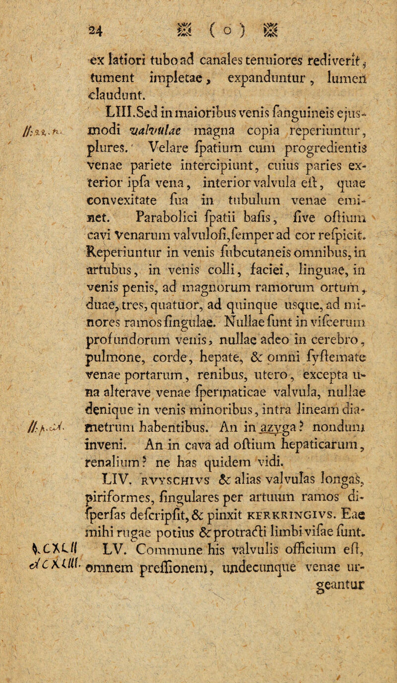 *X*U{ dCKtlll ex latiori tubo ad canales tenuiores rediverit j tument impletae, expanduntur, lumen claudunt. Llll.Sed in maioribus venis fanguineis ejus¬ modi valvulae magna copia reperiuntur, plures. Velare Ipatium cum progredientis venae pariete intercipiunt, cuius paries ex¬ terior ipfa vena, interior valvula eft, quae convexitate fua in tubulum venae emi¬ net. Parabolici fpatii bafis, five oflium cavi Venarum vaIviiloli,femper ad cor relpicit. Reperiuntur in venis fubcutaneis omnibus, in artubus, in venis colli, faciei, linguae, in venis penis, ad magnorum ramorum ortum*, duae, tres, quatuor, ad quinque usque, ad mi¬ nores ramos lingulae. Nullae funt invifcerum profundorum venis, nullae adeo in cerebro, pulmone, corde, hepate, & omni fyftemate venae portaram, renibus, utero, excepta u- na alterave venae Iperipaticae valvula, nullae denique in venis minoribus, intra lineam dia¬ metrum habentibus. An in azyga ? nondum inveni. An in cava ad oftium hepaticarum, renalium? ne has quidem vidi. LIV. RVYSCHivs &: alias valvulas longas, piriformes, lingulares per artuum ramos di- fperfas defcripfit, & pinxit kerkringxvs. Eae mihi rugae potius &protradli limbi vifae funt. LV. Commune his valvulis officium eft, omnem preffionem, undecunque venae ur¬ geantur O