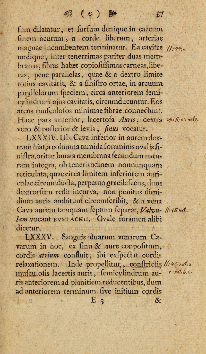 fum dilatatur, et furfum denique in caecum finem acutum > a corde liberum, arteriae magnae incumbentem terminatur. Ea cavitas undique, inter tenerrimas pariter duas mem¬ branas, fibras habet copiofifiimas carneas,libe¬ ras, pene parallelas , quae & a dextro limite totius cavitatis, & a finiflro ortae, in arcuum parallelorum ipeciem, circa anteriorem femi- cylindrum ejus cavitatis, circumducuntur. Eos arens mufculofos minimae fibrae connecdunt. Haec pars anterior, lacertoia Auris, dextra fl: i* fAx. vero & poflerior St levis, finus vocatur. LXXXIV. Ubi Cava inferior in aurem dex¬ tram hiat,a columna tumida foraminis ovalis ii- niffra,oritur lunata membrana fecundum natu¬ ram integra, ob teneritudinem nonnunquam reticulata, quae circa limitem inferiorem ami¬ culae circumduda, perpetuo gracilefeens, dum dextrorfum redit incurva, non penitus dimi¬ dium auris ambitum circumfcribit, & a vena Cava aurem tamquam feptum feparat, Vulvu- lam vocant evstachii, Ovale foramen alibi dicetur. ' LXXXV. Sanguis duarum venarum Ca¬ varum in hoc, ex finu &r aure conpofitum, cordis Atrium coniuit, ibi exfpedat cordis relaxationem. Inde propellitur, conffridis mufculofis lacertis auris, femicylindrum au- 'f ris anteriorem ad planitiem reducentibus, dum ad anteriorem terminum five initium cordis E 3 Sc