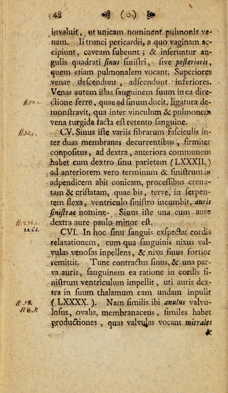 4S ^ (o) & invaluit, «tunicam nominent pulmonis ve¬ nam. Ii trunci pericardii, a quo vaginam ac¬ cipiunt , caveam fabeunt; & inferuntur an¬ gulis quadrati /Inus finiftri, live pofierioris, quem etiam pulmonalem vocant. Superiores venae defcendunt , adfcendimt r inferiores. Venas autem illas fanguinem fuum in ea dire- !(:?5. clione ferre, quae ad linum ducit, ligatura de- monflravit, qua inter vinculum &: pulmonem vena turgida facfla efl retento fanguine. //■Mc. CV. Sinus ifte variis fibrarum fafciculis in¬ ter duas membranas decurrentibus, firmiter conpofitus, ad dextra > anteriora communem liabet cum dextro finu parietem (LXXXIL) ad anteriorem vero terminum & finiftrumi» adpendicem abit conicam, proceflibus crena- tam 8c criftatam, quae bis, terve, in ferpen- tem flexa, ventriculo finiflro incumbit, auris Jimfirae nomine- Sinus ifle una cuin aure dextra aure paulo mittor efl, 2-2,^/. CVI. In hoc finu fanguis exfpe#at cordis relaxationem, cum qua fanguinis nixus val¬ vulas venofas inpel lens, &: nixu flnus fortior remittit. Tunc contracflus flnus, & una par¬ va auris, fanguinem ea ratione in cordis fi» niftrum ventriculum impellit, uti auris dex¬ tra in fuum thalamum eam undam inpulit /f:s% ( LXXXX. ). Nam fimilis ibi anulus valvu- Mto.k lofus, ovalis, membranaceus, limiles habet produ&iones , quas valvulas vocant mitrales *