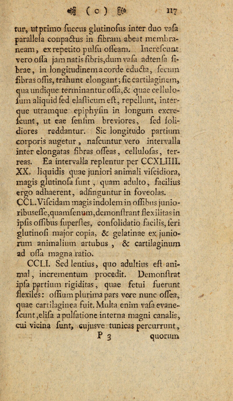 tur, ut primo fuccus glutinofus inter duo vafe parallela conpadlus in fibram abeat membra¬ neam, ex repetito pulfii ofieam. Increfcuafc veroofla jam natis fibris,dum vafa adtenfa fi¬ brae, in longitudinem a corde edudfe, fecrnn fibras oilis, trahunt elongant •, fic cartilaginem, qua undique terminantur offa,& quaecellulo- fiun aliquid fed elafiicumeft, repellunt, inter* que utramque epiphyfin in longum excre- icunt, ut eae fenfim breviores, fed loli- diores reddantur. Sic longitudo partium corporis augetur , nafcuntur vero intervalla inter elongatas fibras offeas, cellulofas, ter¬ reas. Ea intervalla replentur per CCXLIIIL XX, liquidis quae juniori animali vifcidiora, magis glutinofa funt, quam adulto, facilius ergo adhaerent, adfinguntur in foveolas. CCL.Vifcidam magis indolem in ofiibus junio- ribu.sefle,quamfenum,demonftrant flexilitas in ipfis ofiibus fiiperftes, confolidatio facilis, ieri glutinofi major copia, 5c gelatinae ex junio- mm animalium artubus , & cartilaginum ad ofia magna ratio. CCLI. Sed lentius, quo adultius eft ani¬ mal , incrementum procedit. Demonfirat ipfa partium rigiditas, quae fetui fuerunt flexiles : ofiium plurima pars vere nunc ofiea, quae cartilaginea fuit. Multa enim vafa evane- icunt,elifa apulfatione interna magni canalis, coi vicina funt, cujnsve tunicas percurrunt, P 3 quorum