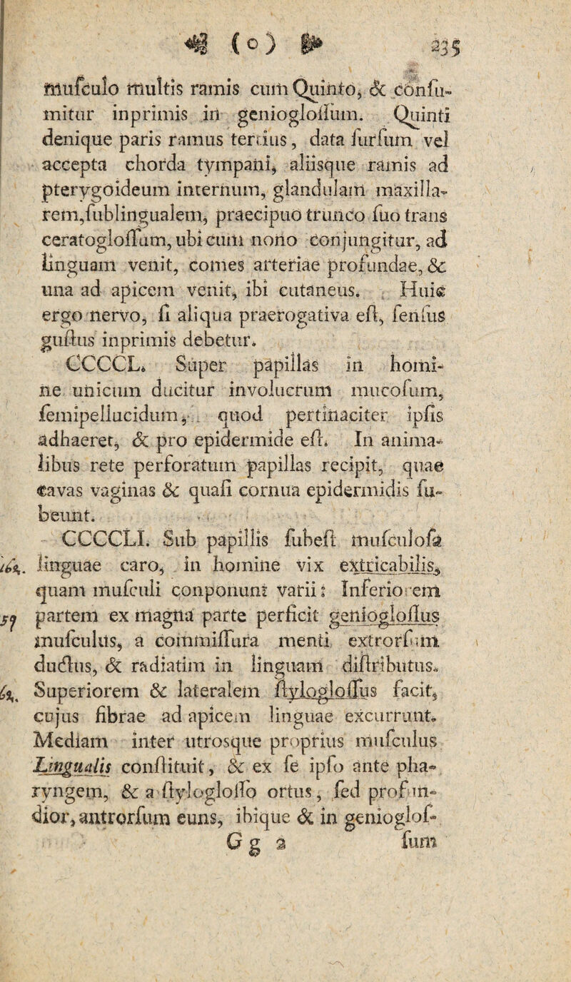 «i (o) gj» iMufcuio multis ramis cum Quinto, & cOniu- mitur in primis in geniogloilum. Quinti denique paris ramus terdus, data furfum vel accepta chorda tympani, aliisque ramis ad pterygoideum internum, glandulam maxilla- rem,fublingualem, praecipuo trunco fuo trans ceratogloffum, ubi cum nono Conjungitur, ad linguam venit, comes arteriae profundae, 8c una ad apicem venit* ibi cutaneus. Huic ergo nervo, fi aliqua praerogativa efi, fenlus gufius inpfimis debetur. CCCCL* Super papillas in homi¬ ne unicum ducitur involucrum mucofum, lemipellucidum * quod pertinaciter ipfis adhaeret, <5t pro epidermide efh In anima¬ libus rete perforatum papillas recipit, quae cavas vaginas 8c quafi cornua epidermidis ia» beunt. CCCCLI. Sub papillis fubefi ffiufculofa linguae caro, in homine vix extricabilis, quam mufculi conponunt varii: Inferio em jy partem ex magna parte perficit geniogloilus mufcuhts, a commifuira menti extrorfhm. ducfhis, & radiatim in linguam difiributus* Superiorem & lateralem fiylogloiTus facit* cujus fibrae ad apicem linguae excurrunt. Mediam inter utrosque proprius mufculus jJLBgudis confiituit, & ex fe ipfo ante pha¬ ryngem, & a ftyloglollo ortus, (ed profun¬ dior» antrorfum euns, ibique Si in genioglof»