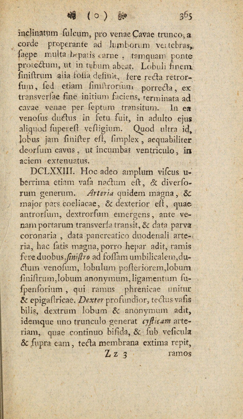 inclinatum fulcum, pro venae Cavae trunco, a corde properante ad lumborum veitebras* faepe multa hepaiis < arne . tamquam ponte pror.edhmi, ut in tubum abeat. Lobuli finem, finiftrum aiia roiia delinit, fere reda retror* fuin, fed etiam finiftroriiim porreda, ex transverlae fine initium faciens, terminata ad cavae venae per feptum transitum. In ea venolus duplus in fetu fuit, in adulto ejus aliquod fuperefi vefiigium. Quod ultra id, Jobns jam finifter efl, fimplex , aequabiliter deorfum cavus, ut incumbat ventriculo , in aciem extenuatus. DCLXXIII. Hoc adeo amplum vifcus li¬ berrima etiam vafa nachun efl, & diverfo- rum generum. Arteria quidem magna, 3c major pars coeliacae, dexterior efl, quae antrorlum, dextrorfiim emergens, ante ve¬ nam portarum transveria transit, & data parva coronaria , data pancreatico duodenali arte¬ ria, hac fatis magna, porro hepar adit, ramis fere duobus Jiniftro ad foliam umbilicalem,du- dum venofum, lobulum pofieriorem,lobum fiiiifirum,lobum anonymum, ligamentum fu- fpenforium , qui ramus phrenicae unitur &: epigafiricae. Dexter profundior, tectus vafis bilis, dextrum lobum &z anonymum adit, idemque uno trunculo generat cyftkam arte¬ riam, quae continuo bifida, & fub veficula Sc fupra eam, teda membrana extima repit, Z z 3 ramos