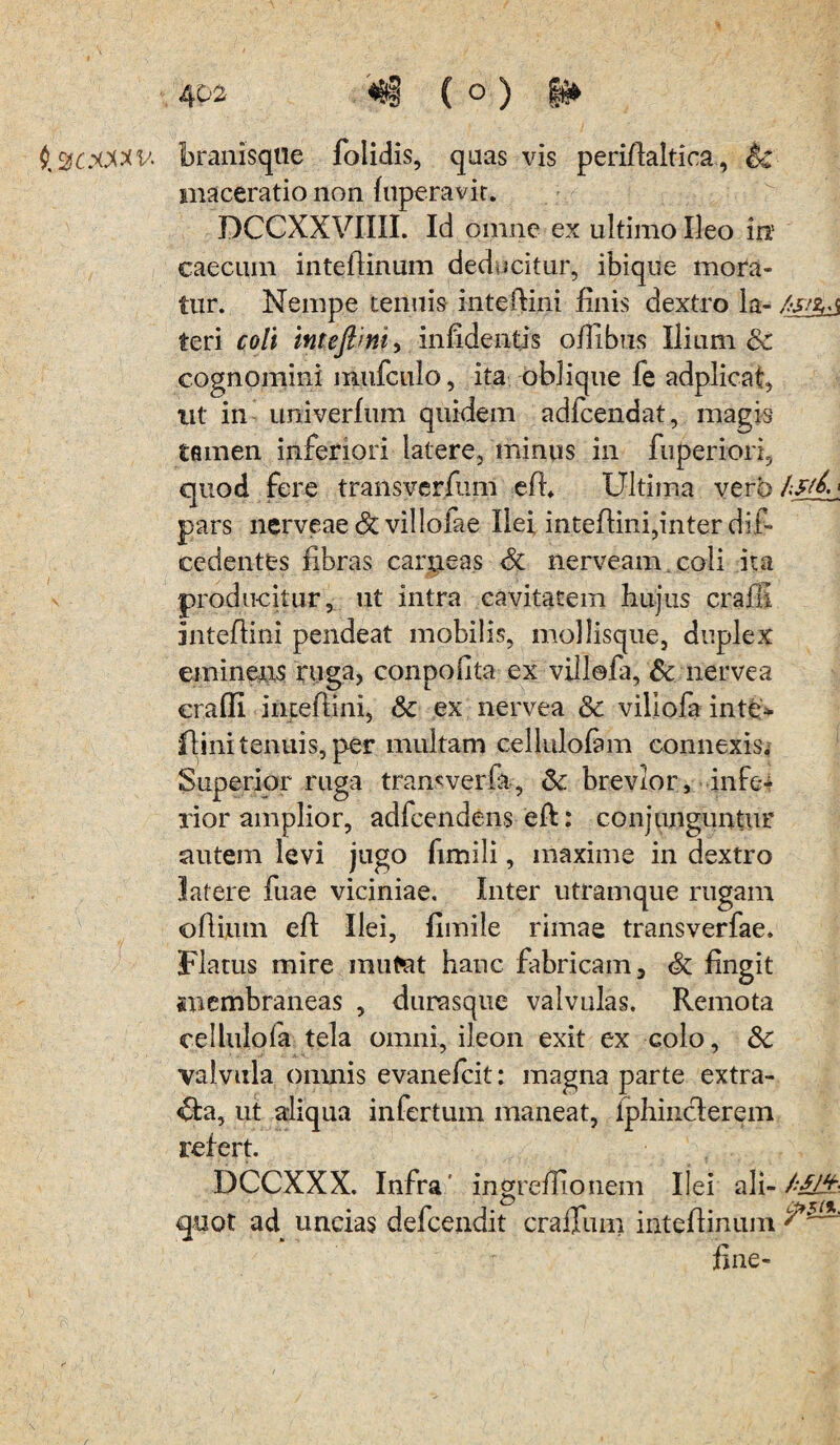 (tSfOOWV. branisqtle folidis, quas vis peridaltica, &£ maceratio non luperavir. DCCXXVIIIL Id omne ex ultimo Ileo in' caecum intedinum deducitur, ibique mora¬ tur. Nempe tenuis intedini finis dextro la- teri coli inteftm, infidentjs o/Tibus Ilium 6c cognomini mufculo, ita oblique fe adplicat, ut in univerfum quidem adfcendat, magis tamen inferiori latere, minus in fuperiori, quod fere transverfum efi Ultima vero /:&£1 pars nerveae & villofae Ilei intedini,inter dii- cedentes libras carneas <5c nerveam. coli ita producitur, ut intra cavitatem hujus craffi intedini pendeat mobilis, mollisque, duplex emineris ruga, conpodta ex villefa, & nervea craffi intedini, & ex nervea & villofa inte* flinitenuis, per multam cellulofam connexis. Superior ruga transverfa., &: brevior, infe¬ rior amplior, adfcendens eft: conjunguntur nutem levi jugo fimili, maxime in dextro latere fuae viciniae. Inter utramque rugam odium ed Ilei, limile rimae transverfae. Flatus mire mutat hanc fabricam, & lingit membraneas , durasque valvulas. Remota cellulofa tela omni, ileon exit ex colo, Sc valvula omnis evanefcit: magna parte extra- <&a, ut aliqua infertum maneat, iphiiiclerein refert. DCCXXX. Infra  ingreffionem Ilei ali- /*£££ quot ad uncias defcendit cralfum inteflinum line-