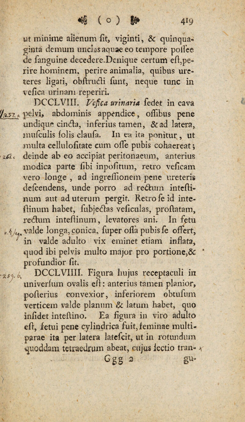 wt minime alienum lit3 viginti, & quinqua¬ ginta demum unclasaquaeeo tempore poflee de fanguine decedere.Denique certum expe¬ rire hominem, perire animalia, quibus ure¬ teres ligati, obftrudi funt, neque tunc in vefica urinam reperiri. DCCLVIII. Vefica urinaria fedet in cava pelvi, abdominis appendice, oflibus pene undique cin&a, inferius tamen, &ad latera, mufculis folis claufa, I11 ea ita ponitur , ut multa eellulofitate cum ofle pubis cohaereat *, • %{f(. c deinde ab eo accipiat peritonaeum, anterius modica parte fibi inpofitum, retro veficam vero longe , ad ingreffionem pene ureteris defcendens, unde porro ad re£fcum intcfti- num aut ad uterum pergit. Retro fe id inte- ffinum habet, fubjedlas veficulas, proflatam, redtum inteflinum, levatores ani. In fetu / 4/^ valde longa, conica, fuper ofla pubis fe offert, ' in valde adulto vix eminet etiam inflata, quod ibi pelvis multo major pro portione,& * profundior fit, 4 DCCLVIIIL Figura hujus receptaculi in univerfum ovalis efl: anterius tamen planior, poflerius convexior, inferiorem obtufum verticem valde planum & latum habet, quo infidet inteflino. Ea figura in viro adulto efl, fetui pene cylindrica fuit, feminae multi - parae ita per latera latefcit, ut in rotundum quoddam tetraedrum abeat, cujus iectio tran- * - “ Ggg 2 gu- V