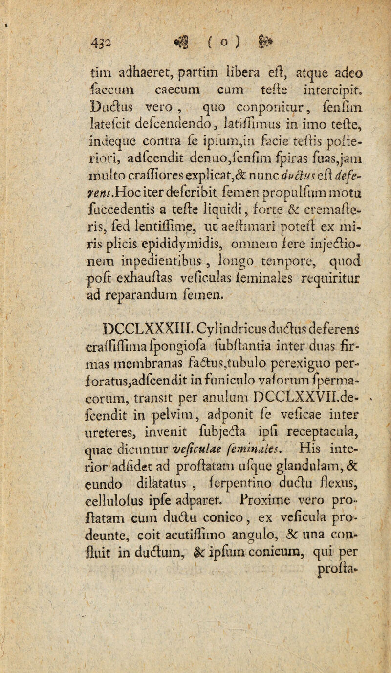 tim adhaeret, partim libera eft, atque adeo faecum caecum cum tefte intercipit. D udius vero, quo conponitur, feiifim latelcit deicendendo, latiffimus in imo tefte, indeque contra fe ipmm,in facie teftis pofte- riori, adfcendit denuo,ienfim fpiras ftias,jam inulto crafliores explicat,St nunc ductus eft defe- rem.Hoc iter deferibit femen propulfum motu fuccedentis a tefte liquidi, forte & cremafte- ris, fed lentiflime, ut aeftimari poteft ex mi¬ ris plicis epididymidis, omnem fere injedlio- nera inpedientihus , longo tempore, quod poft exhauftas veficulas ieminales requiritur ad reparandum femen. DCCLXXXIII. Cylindricus dcdlus deferens craftifnmafpongiofa fubftantia inter duas fir¬ mas membranas faftus,tubulo perexiguo per- foratus,adfcendit in funiculo vaforum fperma- corum, transit per anulum DCCLXXVIf.de- * fc.endit in pelvim, adponit fe veficae inter ureteres, invenit fubjedla ipfi receptacula, quae dicuntur vejiculae femmdes. His inte¬ rior adlidet ad proflatam ufque glandulam, <5c eundo dilatatus , ferpentino dudlu flexus, cellulofus ipfe adparet. Proxime vero pro¬ flatam cum dudtu conico, ex veficula pro- deunte, coit acutiflimo angulo, 5c una con¬ fluit in dudtuin, & ipfum conicum, qui per profla-