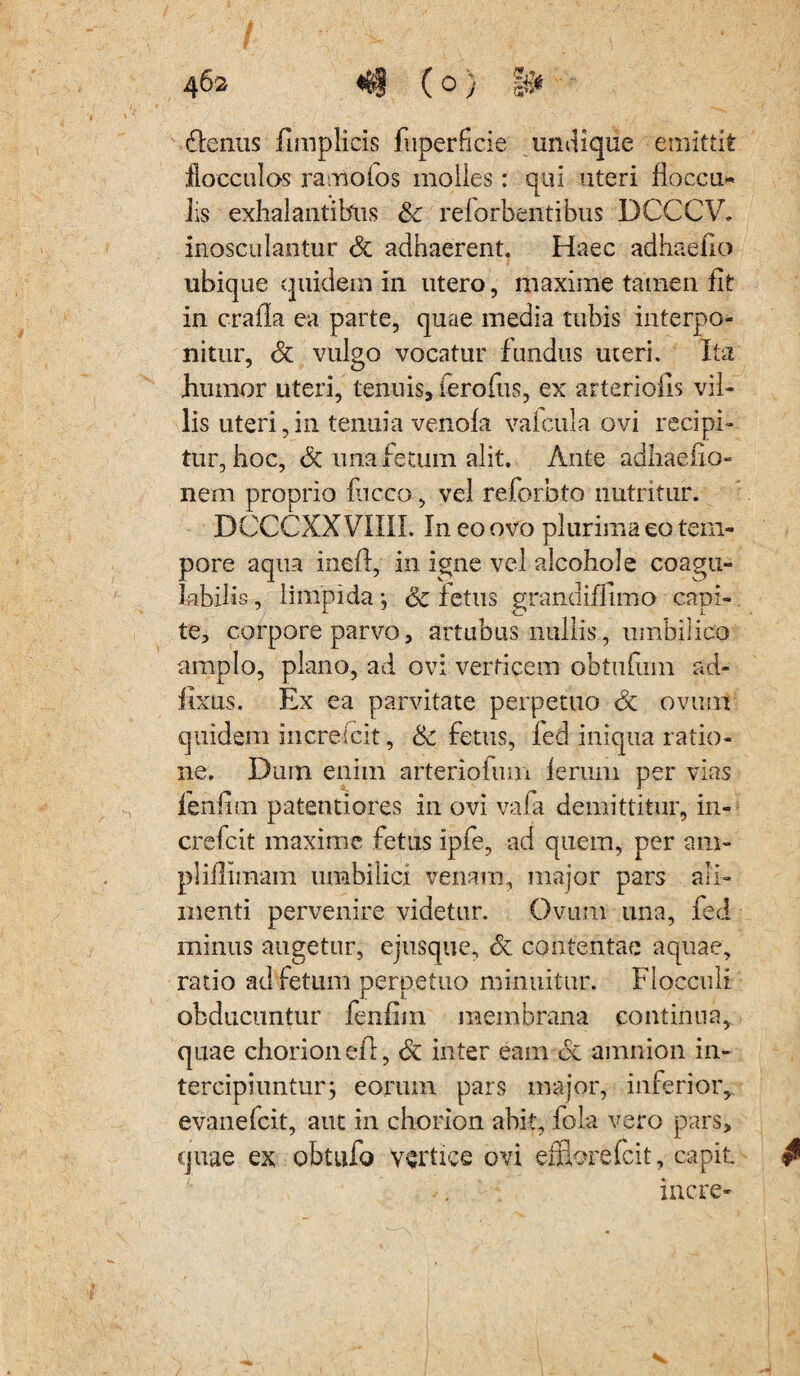 > / r- -X - v'- . ' f ^ , \ ' {*$• 462 <t§ (o} denus funplicis fuperficie undique emittit flocculos ramofos molles: qui uteri floccu- iis exhalantibus &c reiorbentibus DCCCV. inosculantur St adhaerent. Haec adhaefio ubique quidem in utero, maxime tamen fit in crafia ea parte, quae media tubis interpo¬ nitur, St vulgo vocatur fundus uteri. Ita humor uteri, tenuis, ferofus, ex arteriolis vil¬ lis uteri,in tenuia venola vaicula ovi recipi¬ tur, hoc, & una fetum alit. Ante adhaefio- nem proprio fiicco, vel reforbto nutritur. DCCCXXVIIII. Ineoovo plurima eo tem¬ pore aqua ineft,- in igne vel alcohol e coagu- labilis, limpida •, & fetus grandiffimo capi¬ te, corpore parvo, artubus nullis, umbilico amplo, plano, ad ovi verticem obtufiim ad- iixus. Ex ea parvitate perpetuo St ovum quidem increfcit, Sc fetus, led iniqua ratio¬ ne. Dum enim arteriofum lerum per vias fenfim paterniores in ovi vafa demittitur, in- crefcit maxime fetus ipfe, ad quem, per am- pliflimam umbilici venam, major pars ali¬ menti pervenire videtur. Ovum una, fed minus augetur, ejusque, St contentae aquae, ratio ad fetum perpetuo minuitur. Flocculi obducuntur fenfim membrana continua, quae chorionefl, St inter eam & amnion in¬ tercipiuntur; eorum pars major, inrerior, evanelcit, aut in chorion abit, fola vero pars, quae ex obtufo vertice ovi efflorefcit, capit fi incre-