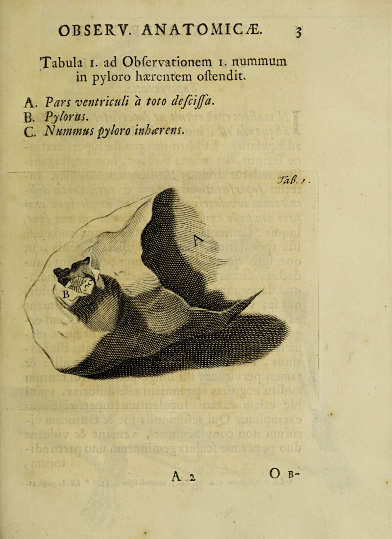 OBSERY. ANATOMICA. $ Tabula i. ad Obfervationem i. nummum in pyloro haerentem ollendit. A. Pars ventriculi a toto defcijfa. B. Pylorus. C. Nummus pyloro inharens. Cfa.8. t. K 2 O B- r