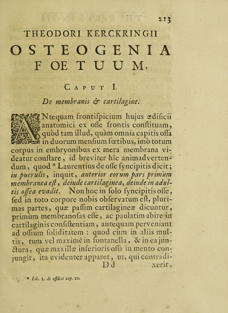 ii; THEODORI KERCKRINGII OSTEOGENIA F OE T U U M. Caput I. De membranis .& cartilagine. N te quam frontifpicium hujus aedificii anatomici ex olle frontis conftituam, quod tam illud, quam omnia capitis olla, in duorum menftum foetibus, imo totum corpus in embryonibus ex mera membrana vi¬ deatur conflare, id breviter hic animadverten¬ dum , quod * Laurentius de olle fyncipitis dicit; in puerulis, inquit, anterior eorum pars primum membranea eft, deinde cartilaginea, deinde in adul¬ tis ofjea evadit. Non hoc in folo fyncipitis olle, fed in toto corpore nobis obfervatum eft, pluri¬ mas partes, quae pafllm cartilagineae dicuntur, primum membranofas efle, ac paulatim abire in cartilaginis confiftentiam, antequam perveniant ad oflium foliditatem : quod cum in aliis mul¬ tis, tum vel maxime in fontanella, &incajun- flura , quae maxillae inferioris olla in mento con¬ jungit, ita evidenter apparet, ut, quicontradi- ^ D d xcrit, * Lib. 2< de offibtis cnp. io.