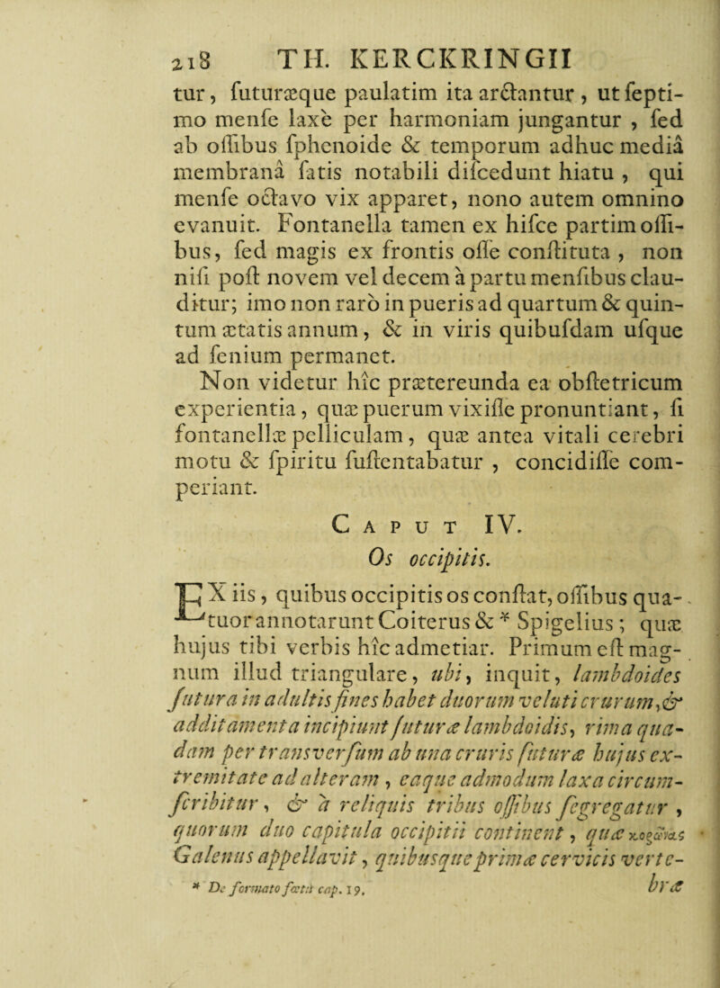tur, futuraeque paulatim ita arctantur , ut fepti- mo menfe laxe per harmoniam jungantur , fed ab oilibus fphenoide & temporum adhuc media membrana fatis notabili dilcedunt hiatu , qui menfe octavo vix apparet, nono autem omnino evanuit. Fontanella tamen ex hifce partim oIli¬ bus, fed magis ex frontis offe confli tuta , non nili pofl novem vel decem a partu menfibus clau¬ ditur; imo non raro in pueris ad quartum & quin¬ tum aetatis annum, & in viris quibufdam ufque ad fenium permanet. Non videtur hic pnetereunda ea obiletricum experientia, quae puerum vixifle pronuntiant, fi fontanellae pelliculam, quae antea vitali cerebri motu & fpiritu fufrentabatur , concidiile com- periant. Caput IV. Os occipitis. pXiis, quibus occipitis os conflat, o itibus qua-. •*-^tuor annotarunt Coiterus & * Spigelius; quae hujus tibi verbis hic admetiar. Primum eft mag¬ num illud triangulare, ubi, inquit, lambdoides Jutura in a duitis fines habet duorum veluticrurum,& addit amenta incipiunt futura lambdoidis, rima qua- dam per transverfum ab una cruris futura hujus ex¬ tremitate ad alteram , eaque admodum laxa circum¬ fer ibitur, & a reliquis tribus ojjtbus fegregatur , quorum duo capitula occipitii continent, qua Sion Galenus appellavit, quibusque prima cervicis verte- * De formato foeta cap. 19, br ff