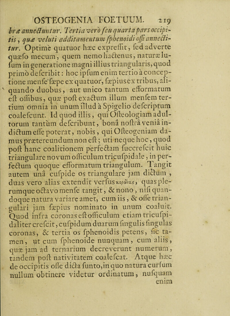 bra anneftmtur. Tertia vero feu quarta pars occipi¬ tis , qu<e velati additamentum fphenoidi offi annecti¬ tur. Optime quatuor haec expreflit, fed adverte quaefo mecum, quem nemohadtenus, naturae lu- fum in generatione magni illius triangularis, quod primo defcribit: hoc ipfum enim tertio a concep¬ tione menfcfaepe ex quatuor, faepiusex tribus, ali- '' quando duobus, aut unico tantum efformatum eft oflibus, quae poft exadum illum menfem ter¬ tium omnia in unum illud a Spigelio defcriptum coalefcunt. Id quod illis, qui Ofteologiam adul¬ torum tantum defcribunt, bona noftra venia in- di&umeflepoterat, nobis, quiOfteogeniam da¬ mus praetereundum non eft; uti neque hoc, quod poft hanc coalitionem perfe&am fuccrefcit huic triangulare novum oiliculum tricuipidale, in per- feftum quoque efformatum triangulum. Tangit autem una cufpide os triangulare jam dictum , duas vero alias extendit verius quas ple¬ rumque odtavo menfe tangit, & nono, nifi quan¬ doque natura variare amet, cum iis, & ofle trian- • gulari jam faepius nominato in unum coaluit. Quod infra coronas eft oiliculum etiam tricufpi- daliter crefcit, cufpidum duarum fmgulis lingulas coronas, & tertia os fphenoidis petens, fic ta¬ men, ut cum fphenoide nunquam, cum aliis, quae jam ad ternarium decreverunt numerum, tandem poft nativitatem coalefcat. Atque hvec de occipitis olle difta funto,in quo natura curfum nullum obtinere videtur ordinatum, nufquam enim