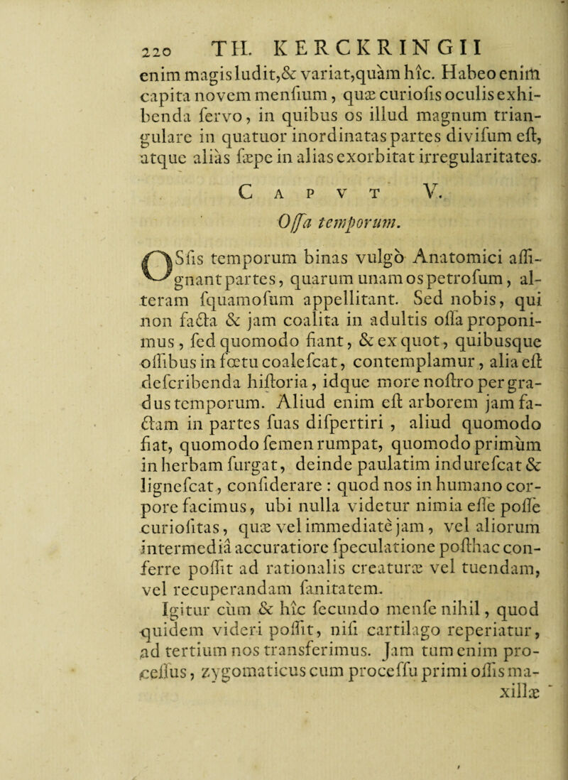 enim magis ludit,& variat,quam hic. Habeo enim capita novem menfium, quas curiofis oculis exhi¬ benda fervo, in quibus os illud magnum trian¬ gulare in quatuor inordinatas partes divifum eft, atque alias faepc in alias exorbitat irregularitates. C a p v t V. Offa temporum. OS fis temporum binas vulgo Anatomici a di¬ gnant partes, quarum unam os petrofum, al¬ teram fquamofum appellitant. Sed nobis, qui non faria & jam coalita in adultis olla proponi¬ mus, fed quomodo fiant, & ex quot, quibusque o ilibus in fatu coalefcat, contemplamur, alia eft defcribenda hiftoria, idque more noflro per gra¬ dus temporum. Aliud enim eft arborem jamfa- riam in partes fuas difpertiri , aliud quomodo fiat, quomodo femen rumpat, quomodo primum in herbam furgat, deinde paulatim indurefcat& lignefcat, confiderare : quod nos in humano cor¬ pore facimus, ubi nulla videtur nimia elle polle curiofitas, quae vel immediate jam, vel aliorum intermedia accuratiore fpeculatione pofthac con¬ ferre polfit ad rationalis creaturae vel tuendam, vel recuperandam fanitatem. Igitur cum & hic fecundo menfe nihil, quod quidem videri polfit, nifi cartilago reperiatur, ad tertium nos transferimus. Jam tum enim pro- ciliis, zygomaticus cum proceffu primi olfis ma¬ xillae