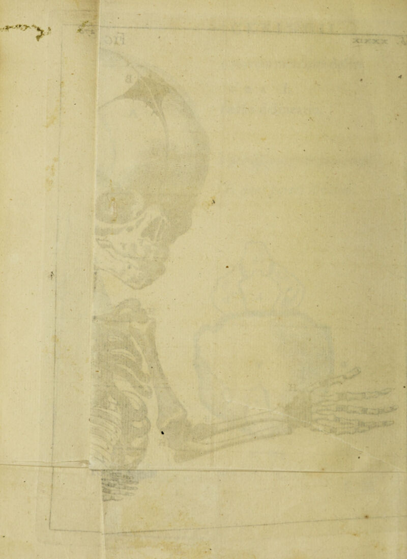 >1 r » * -e* ‘ — ■ f ' i •• \fl j - V • . * ' *%. -». 4 1 - ,\ ■* ' ' * . • % ’ - • *» ’ • •• <., ..fs * . . : .. •<: :*• % r fi ■ , > '***w hM? ——