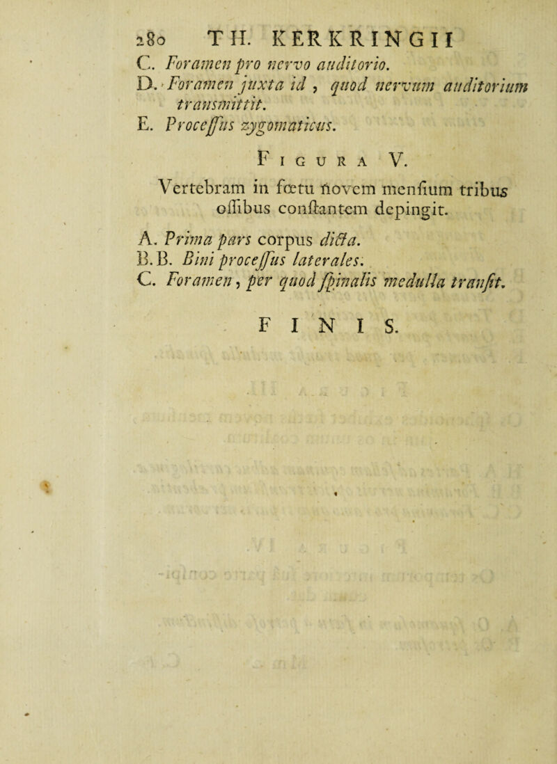 C. Foramen pro nervo auditorio. D. Foramen juxta id , quod nervum auditorium transmittit. E. Proceffus zygomaticus. Figura V. Vertebram in foetu A ovem menfium tribus oibbus conflantem depingit. A. Prima pars corpus di di a. B. B. Bini procejjits laterales. C. Foramen, per quod/pinalis medulla tranfit. FINIS.