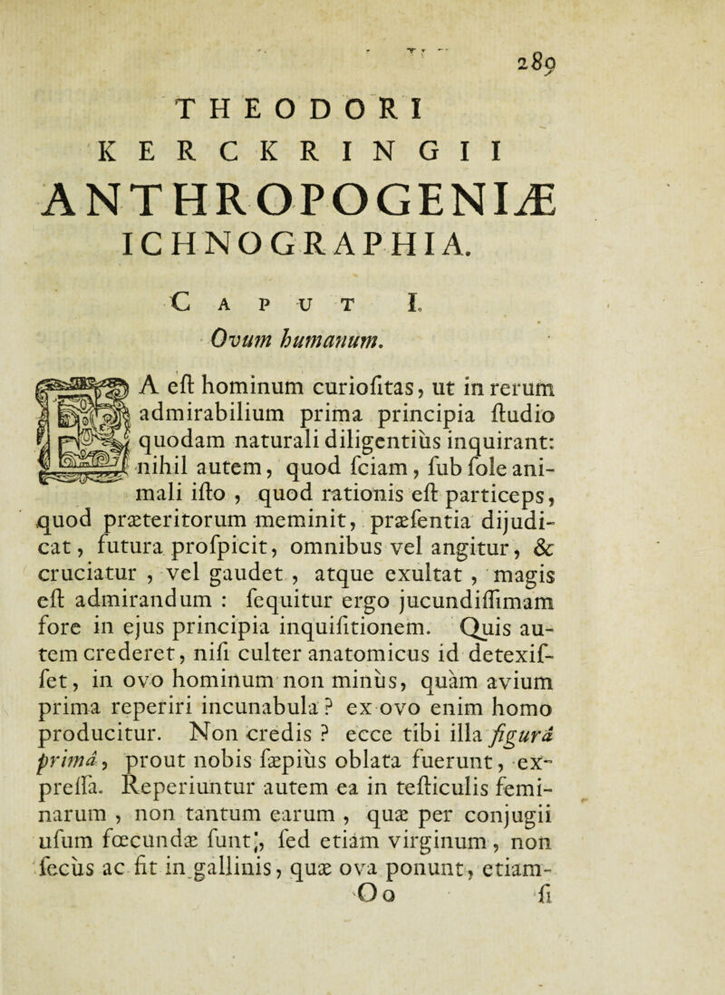 289 THEODORI KERCKRIN GII ANT HROPOGENIiE ICHNOGRAPHIA. C A P U T I. Ovum humanum. A eft hominum curiofitas, ut in rerum admirabilium prima principia ftudio quodam naturali diligentius inquirant: n i h i I autem, quod fciam, fubfole ani¬ mali illo , quod rationis eft particeps, quod prseteritorum meminit, praTentia dijudi¬ cat, futura profpicit, omnibus vel angitur, & cruciatur , vel gaudet , atque exultat , magis eft admirandum : fequitur ergo jucundiflimam fore in ejus principia inquifttionem. Quis au¬ tem crederet, nifi culter anatomicus id detexif- fet, in ovo hominum non miniis, quam avium prima reperiri incunabula ? ex ovo enim homo producitur. Non credis ? ecce tibi illa figura prima, prout nobis faepius oblata fuerunt, ex- prelfa. Reperiuntur autem ea in tefticulis femi¬ narum , non tantum earum , quse per conjugii ufum fcecundx funt;, fed etiam virginum, non leciis ac fit in gallinis, quse ova ponunt, etiam- Oo fi