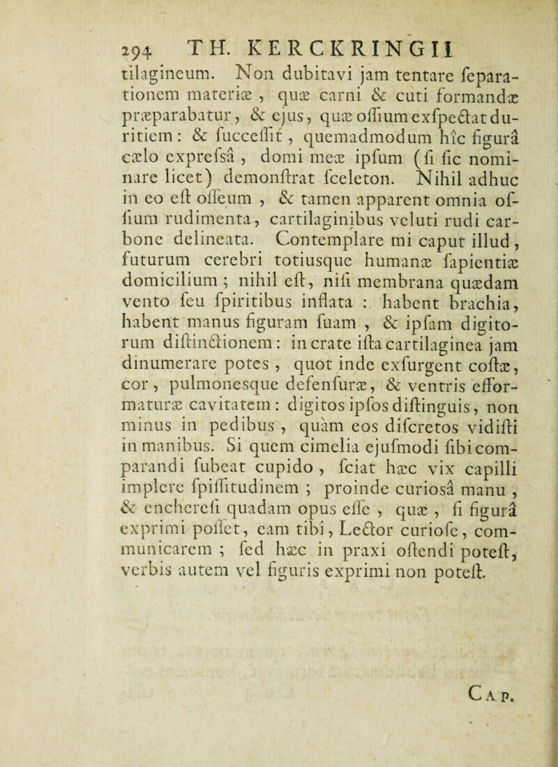 tilagineum. N011 dubitavi jam tentare fepara- tionem materiae , quae carni & cuti formandae praeparabatur, & ejus, quae oifiumexfpe&atdu¬ ritiem: & fuccedit, quemadmodum hic figura caelo exprefsa , domi meae ipfum (fi fic nomi¬ nare licet) demonftrat fceleton. Nihil adhuc in eo e It odeum , & tamen apparent omnia of- fium rudimenta, cartilaginibus veluti rudi car¬ bone delineata. Contemplare mi caput illud , futurum cerebri totiusque humanae fapientiae domicilium ; nihil eft, nili membrana quaedam vento feu fpiritibus inflata habent brachia, habent manus figuram fuam , & ipfam digito¬ rum diftinftionem: in crate ifta cartilaginea jam dinumerare potes , quot inde exfurgent coftae, cor, pulmonesque defenfurae, & ventris effor- maturae cavitatem: digitosipfosdiftinguis, non minus in pedibus , quam eos diferetos vidifti in manibus. Si quem cimelia ejufmodi fibi com¬ parandi fubeat cupido, fciat haec vix capilli implere fpilhtudinem ; proinde curiosa manu , & encherefi quadam opus efle , quae , fi figura exprimi poliet, eam tibi, Leftor curiofe, com¬ municarem ; fed haec in praxi oftendi potefl, verbis autem vel figuris exprimi non potefh
