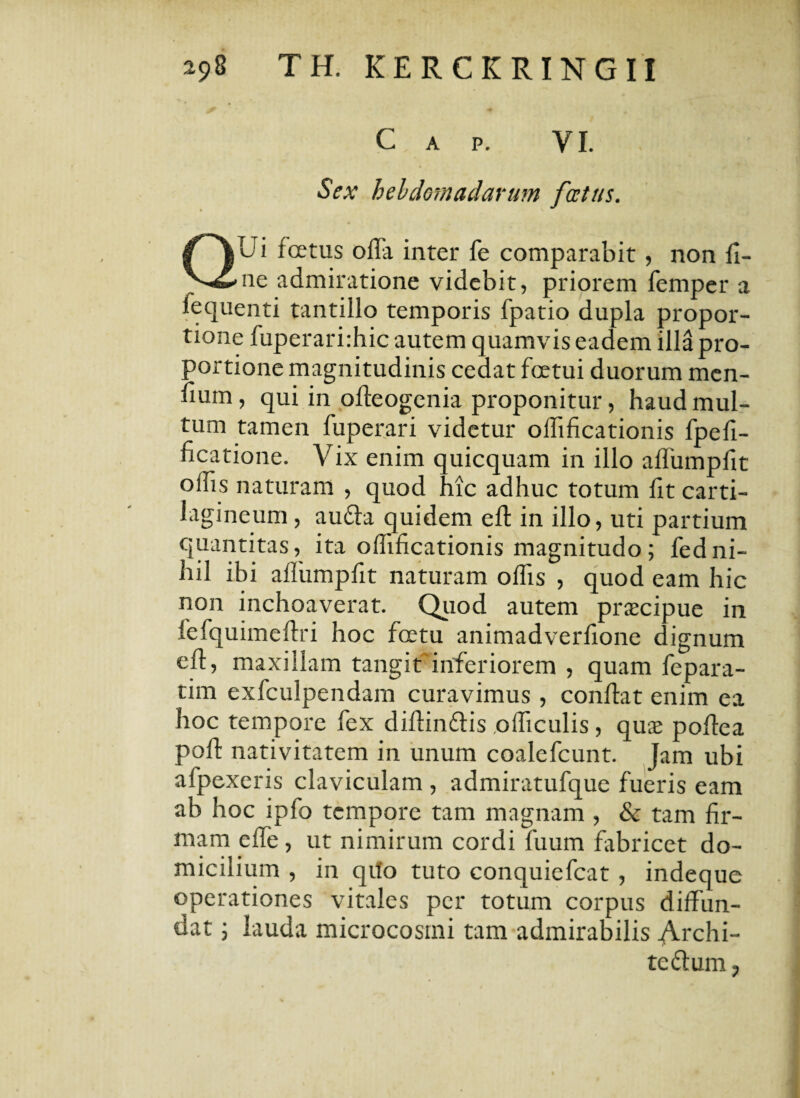 C p. VI. Sex hebdomadarum foetus. |Ui fcetus oda inter fe comparabit, non fi¬ me admiratione videbit, priorem femper a fequenti tantillo temporis fpatio dupla propor¬ tione fuperariffiic autem quamvis eadem illa pro¬ portione magnitudinis cedat fcetui duorum men¬ dum , qui in odeogenia proponitur, haud mul¬ tum tamen fuperari videtur ollificationis fpefi- ficatione. Vix enim quicquam in illo aflumpfit offis naturam , quod hic adhuc totum fit carti¬ lagineum , au£fa quidem ed in illo, uti partium quantitas, ita odificationis magnitudo; fedni¬ hil ibi adiimpfit naturam offis , quod eam hic non inchoaverat. Quod autem prsecipue in fefquimedri hoc fcetu animadverfione dignum ed, maxillam tangit inferiorem , quam fepara- tim exfculpendam curavimus , condat enim ea hoc tempore fex didindis officulis, qu$ podea pod nativitatem in unum coalefcunt. Jam ubi afpexeris claviculam , admiratufque fueris eam ab hoc ipfo tempore tam magnam, & tam fir¬ mam ede, ut nimirum cordi fuum fabricet do¬ micilium , in qtfo tuto conquiefcat, indeque operationes vitales per totum corpus diffun¬ dat 5 lauda microcosmi tam admirabilis Archi¬ tectum P